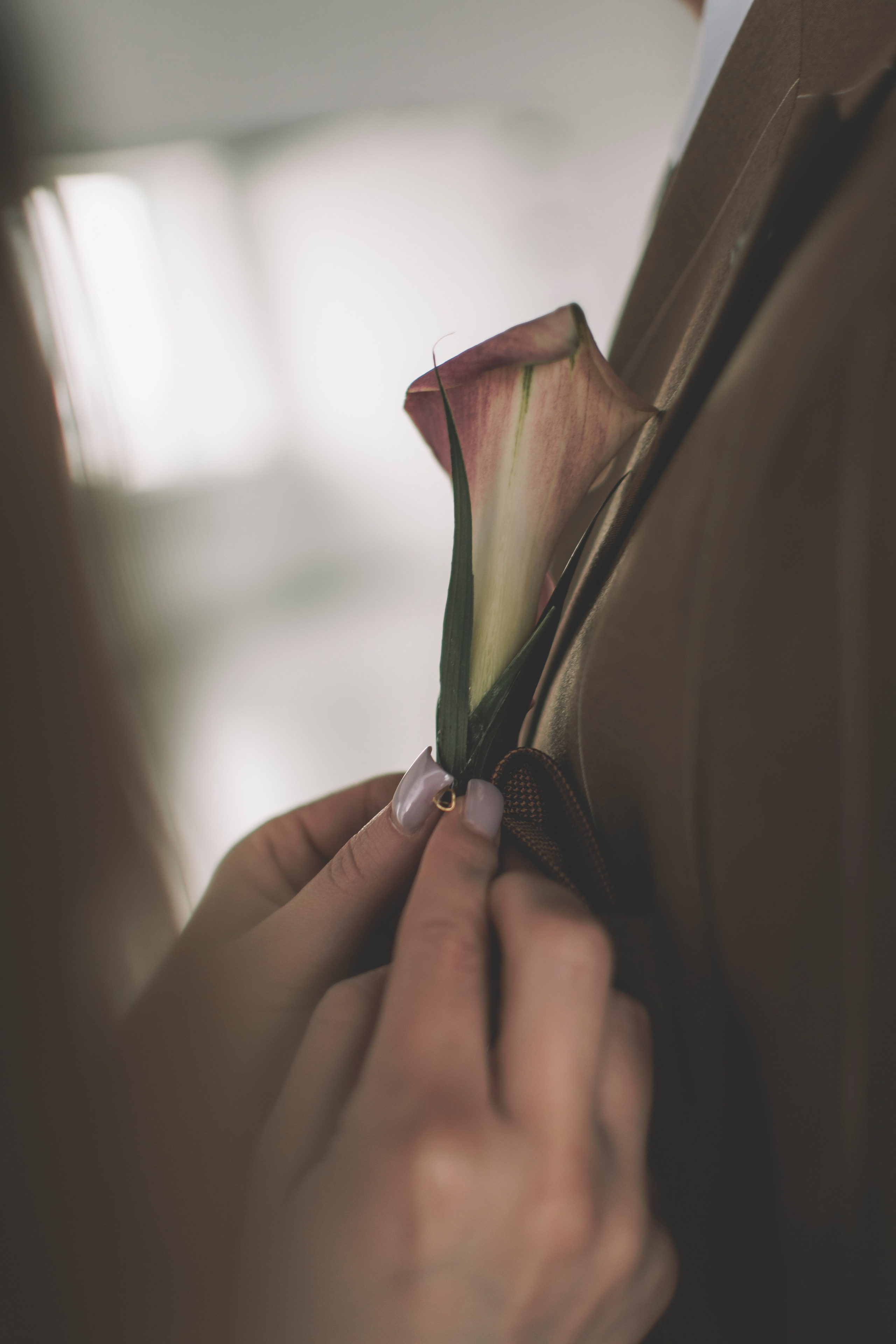 Альберт и Анастасия (Студийная фотосессия, роспись в ДК Нефтяник + фотосессия с гостями). Семейный и свадебный фотограф Губкинский и Ставрополь