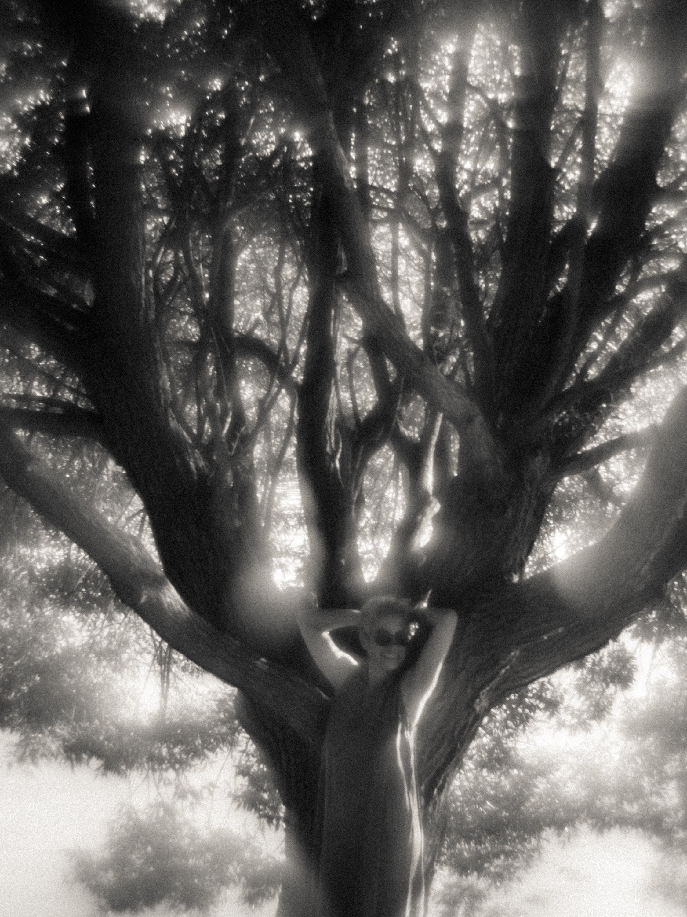 Сияние (Оля). Андрей Иванов. фотографические практики