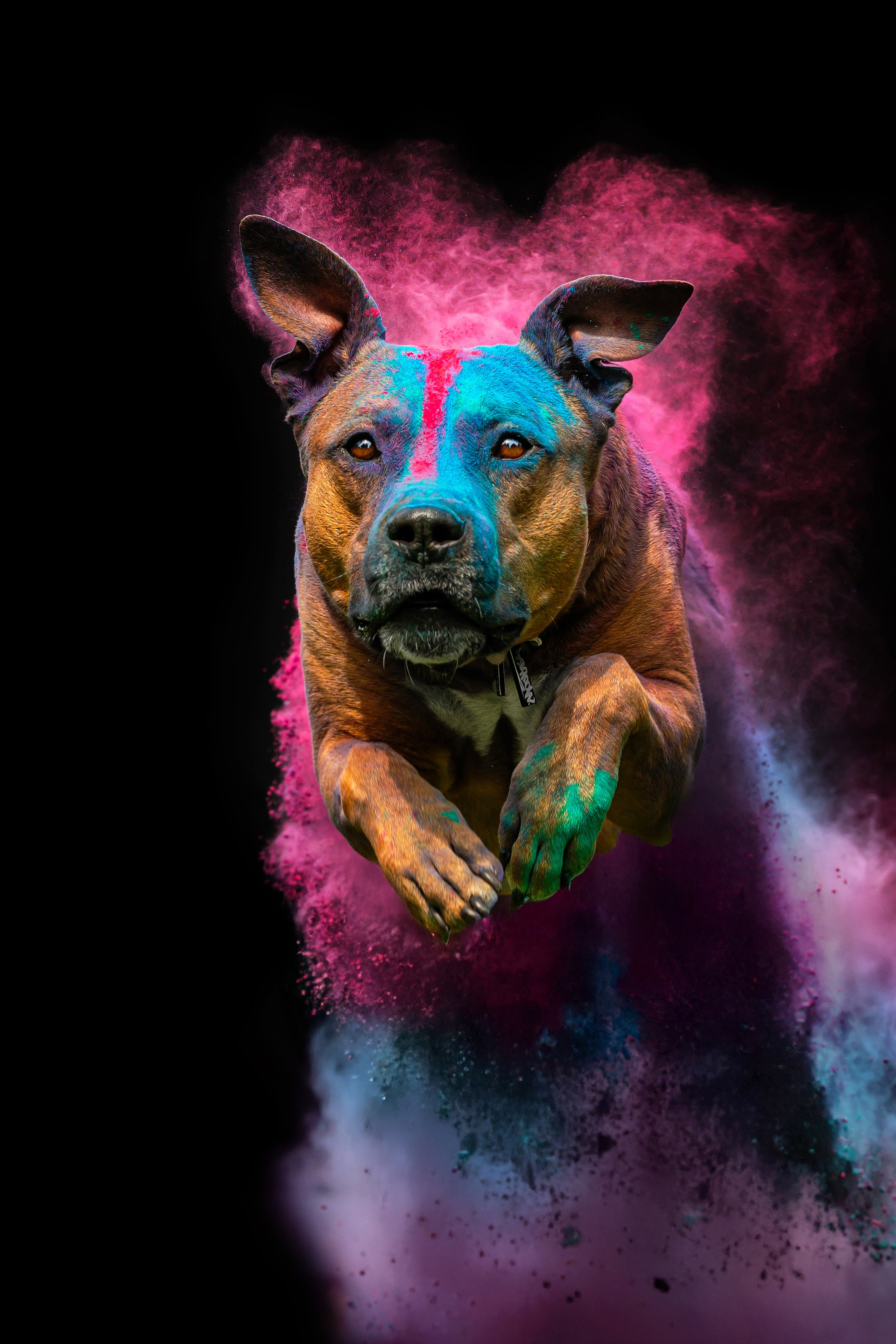 Батлер и Кэти