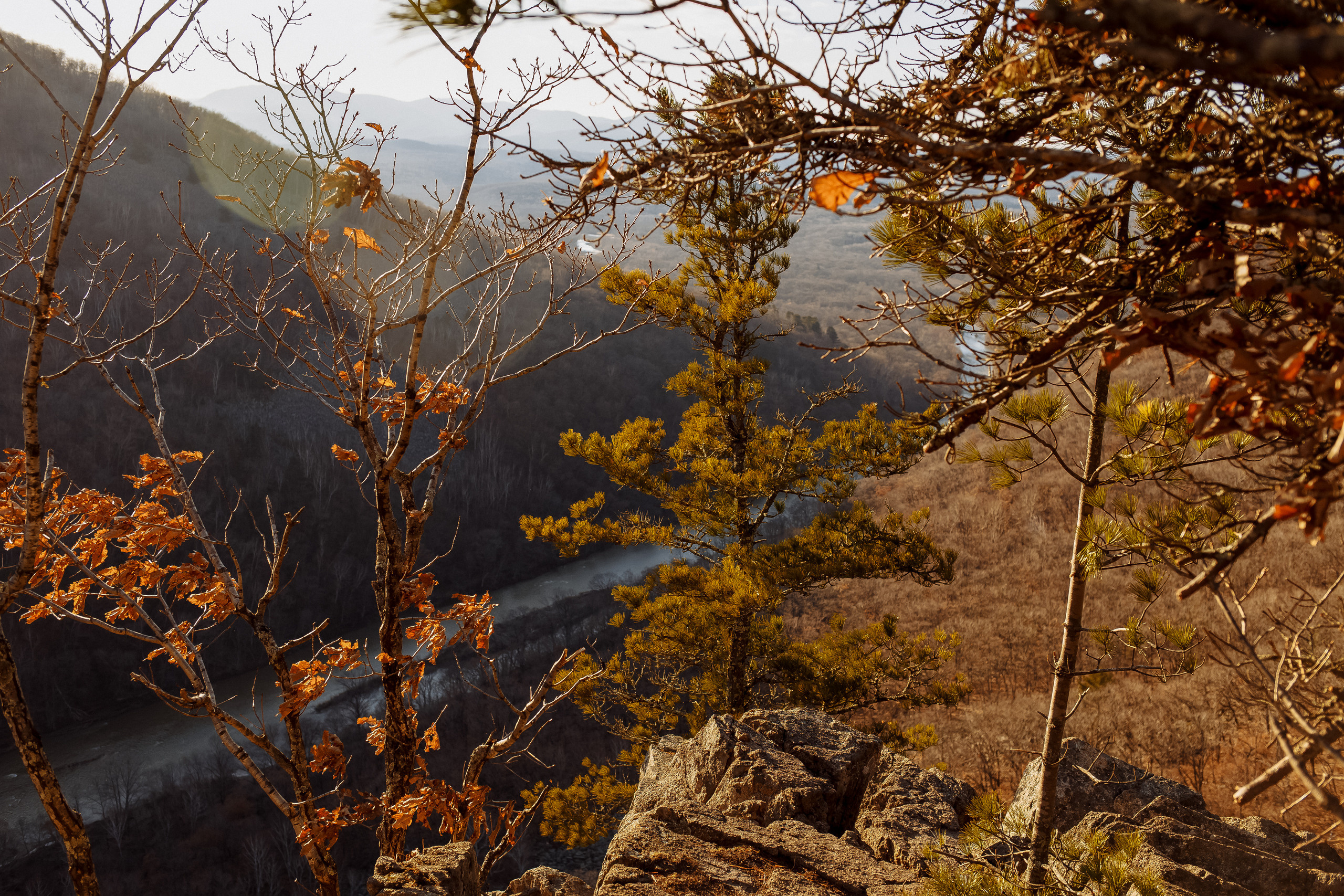 Разное. Портретный фотограф, Славянка