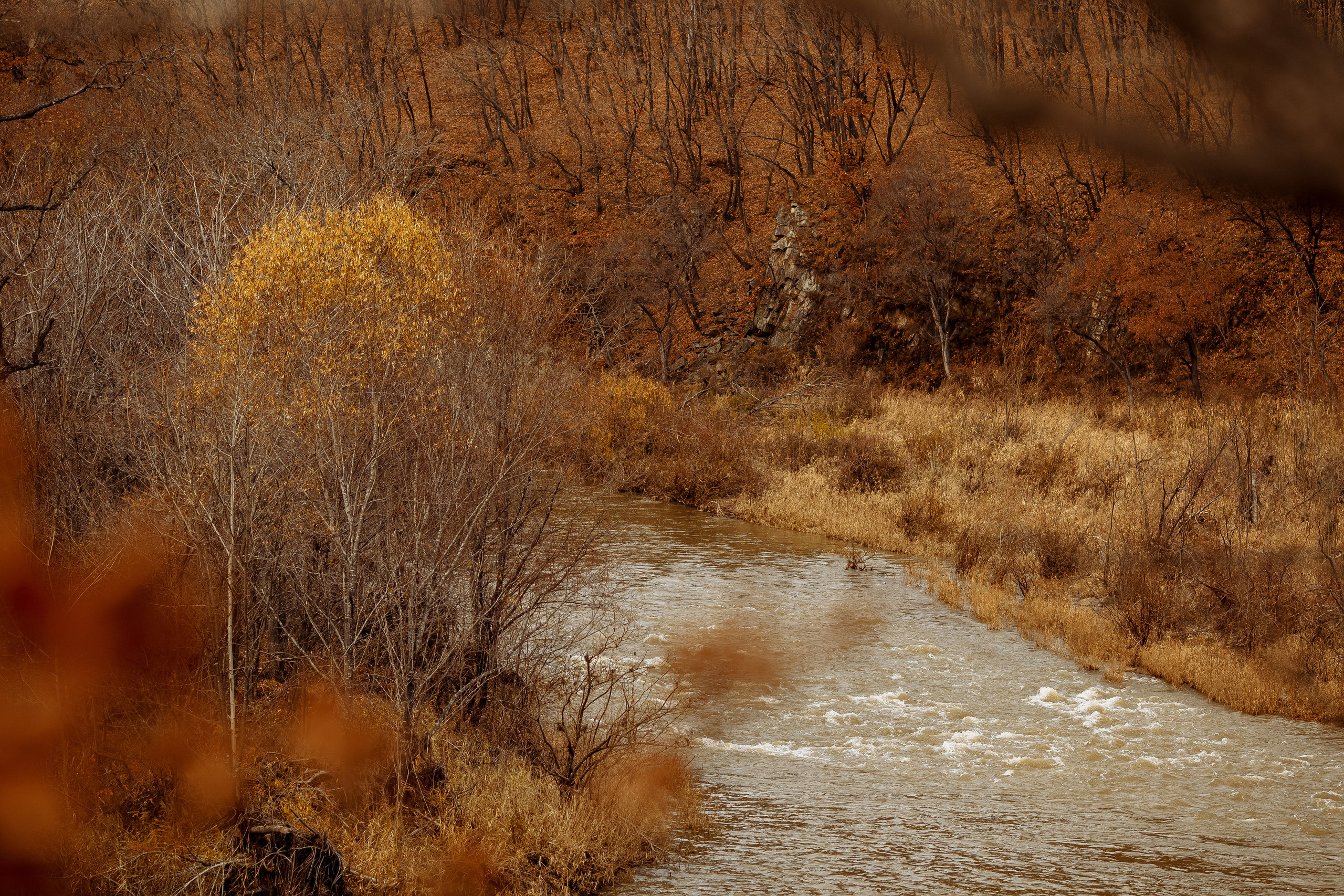 Разное. Портретный фотограф, Славянка