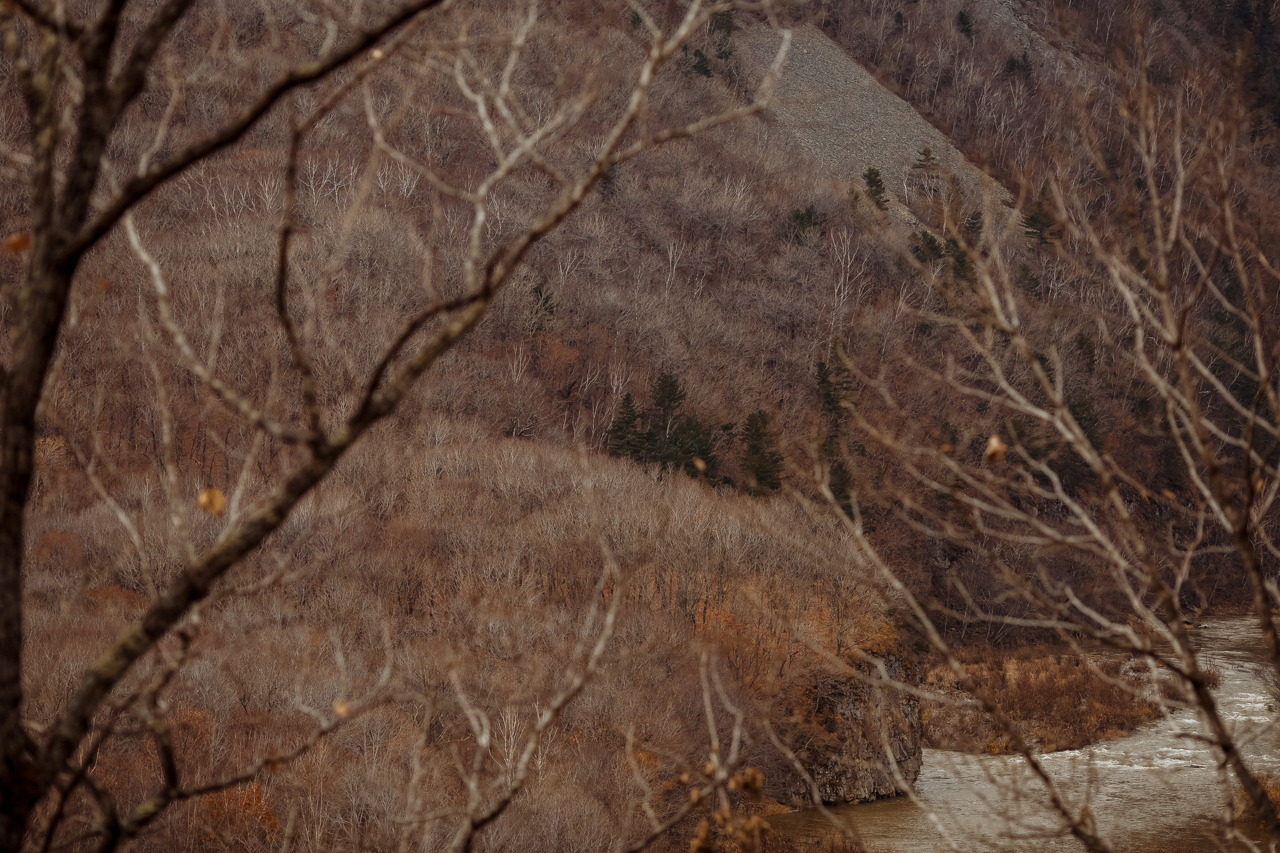 Разное. Портретный фотограф, Славянка