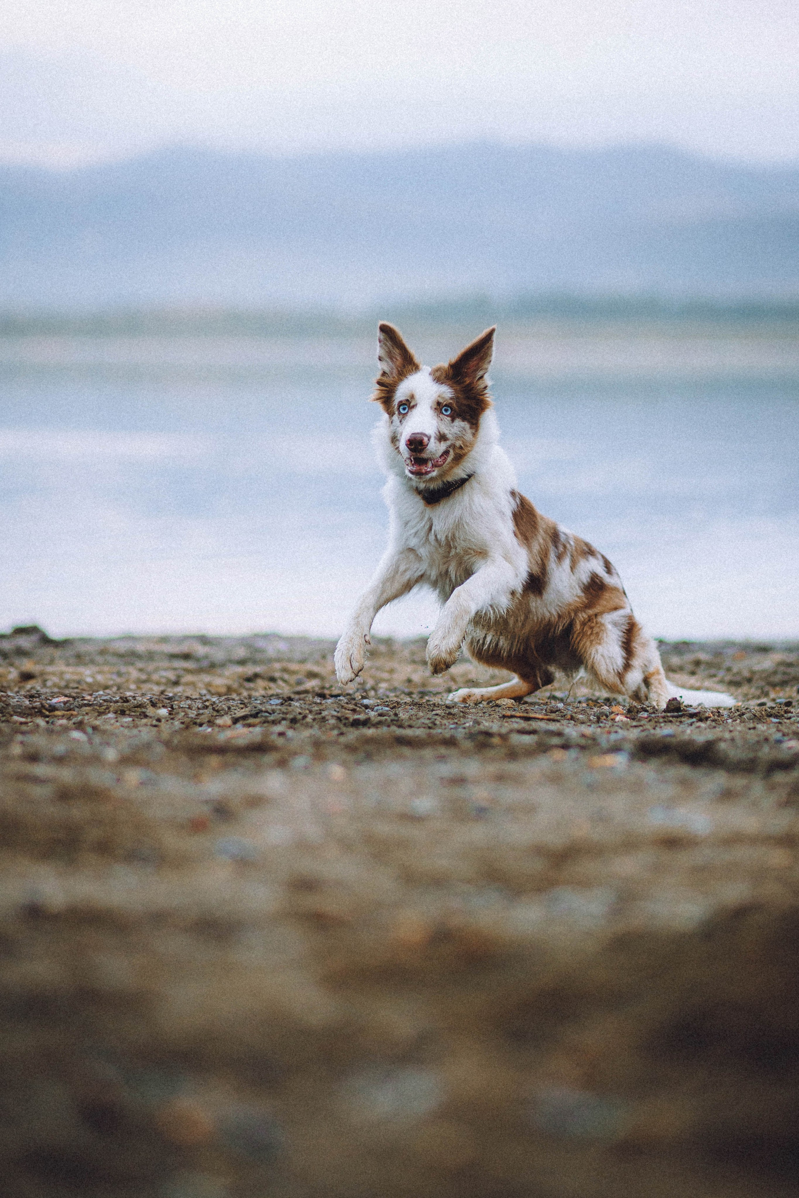 Оля, Саша и Айко