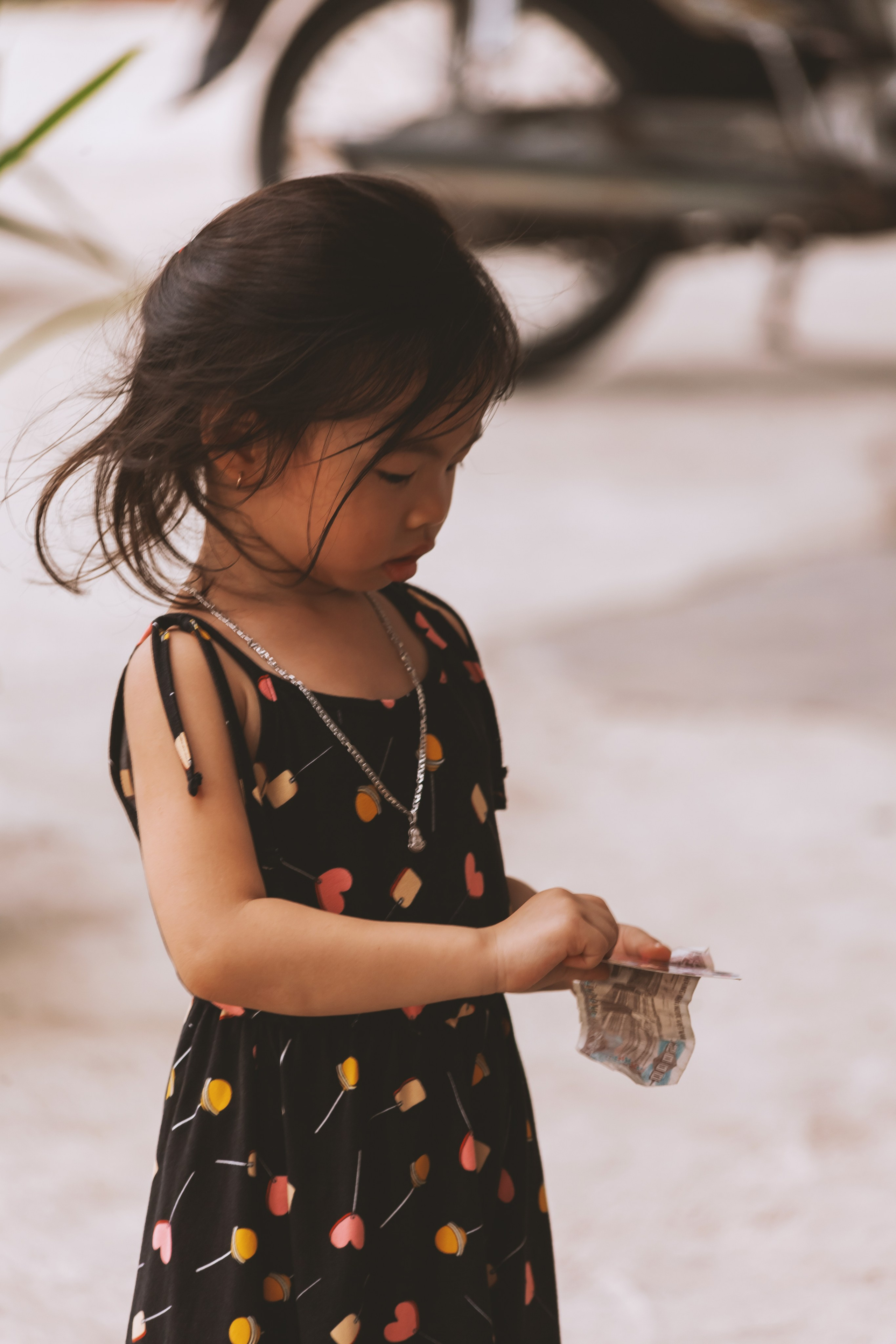 ВЬЕТНАМ 2023 / VIEtTNAM 2024. Главная