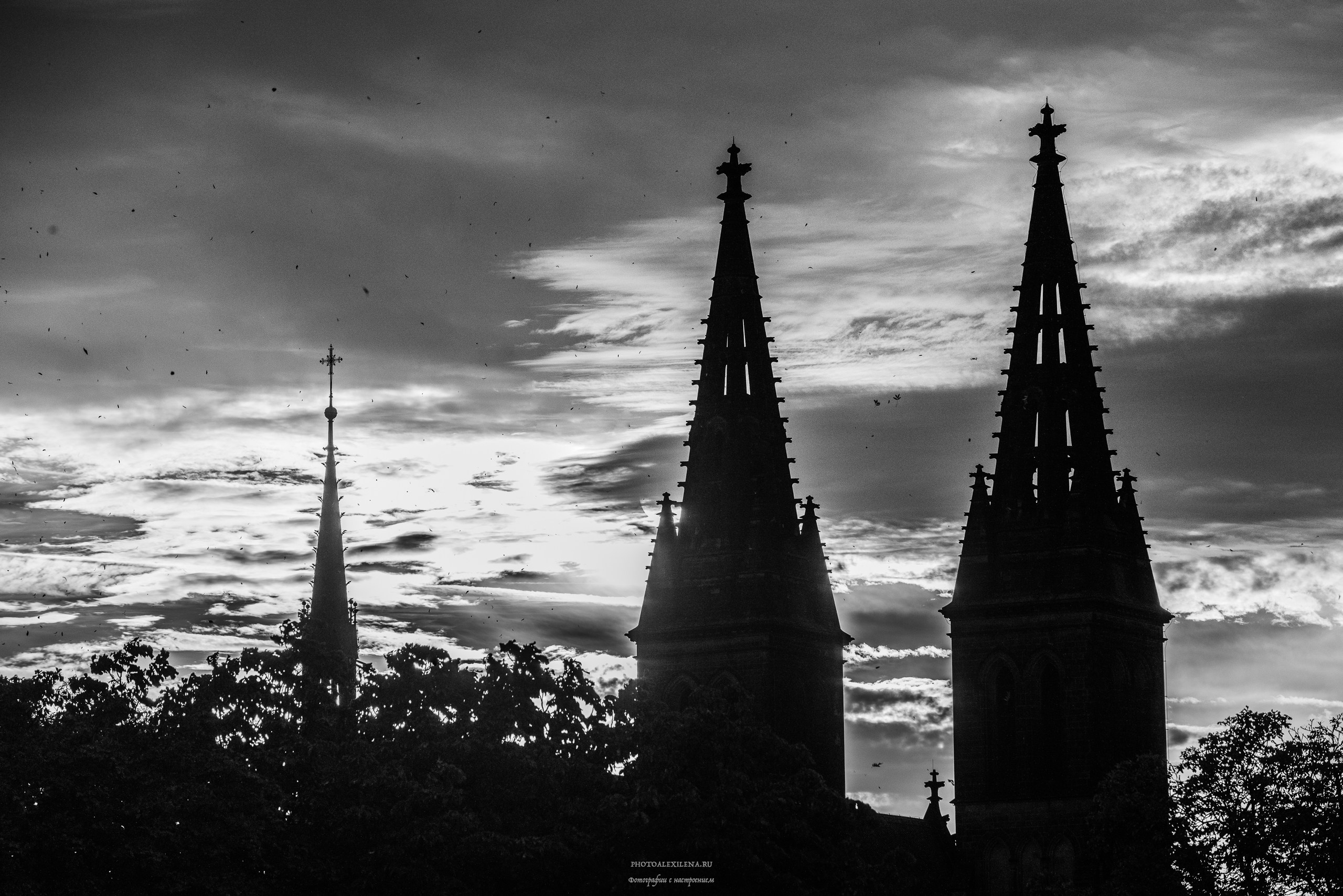 Город. Авторские стильные фотокартины