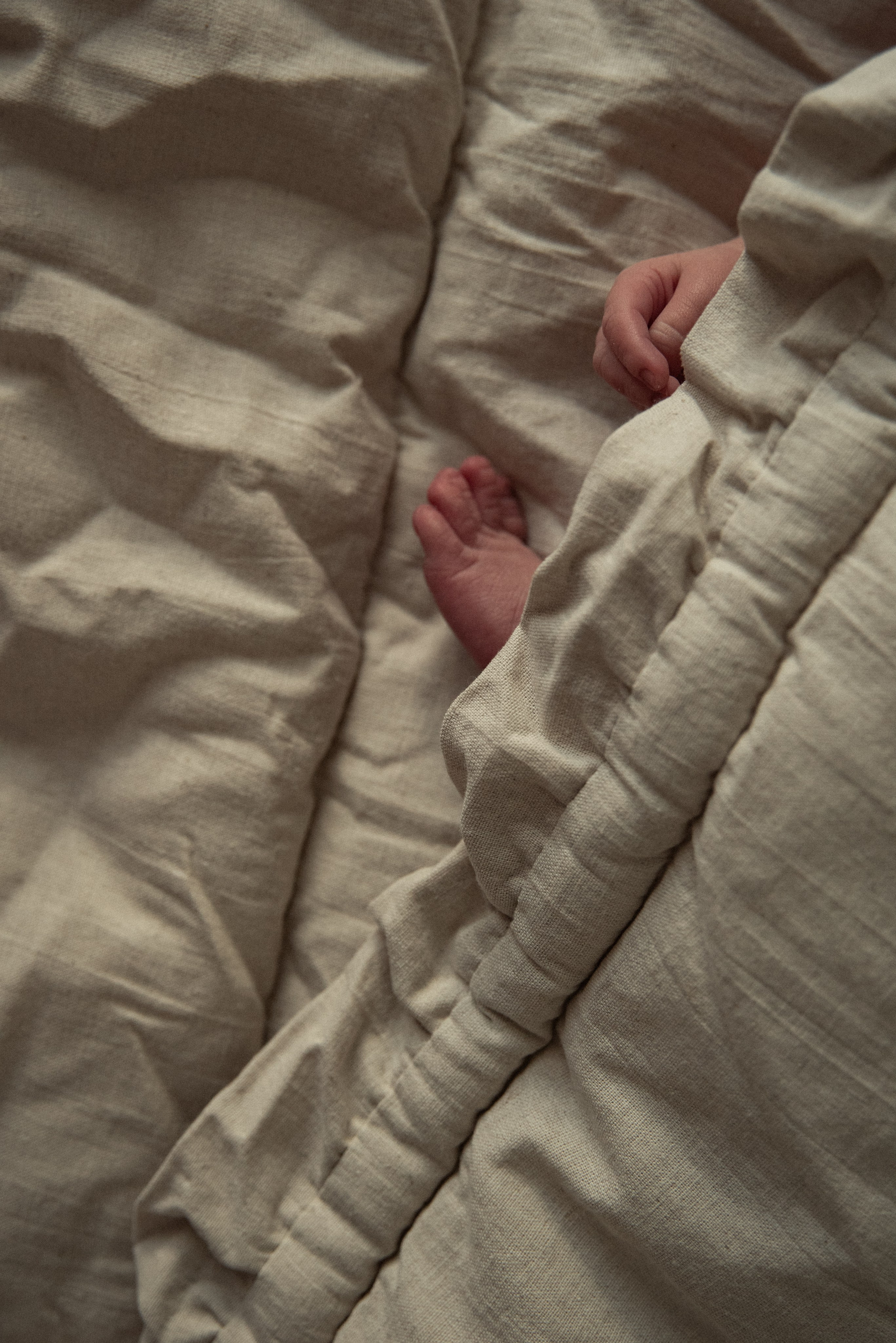 День встречи. Семейный и детский фотограф в Санкт-Петербурге Татьяна Дмитренко