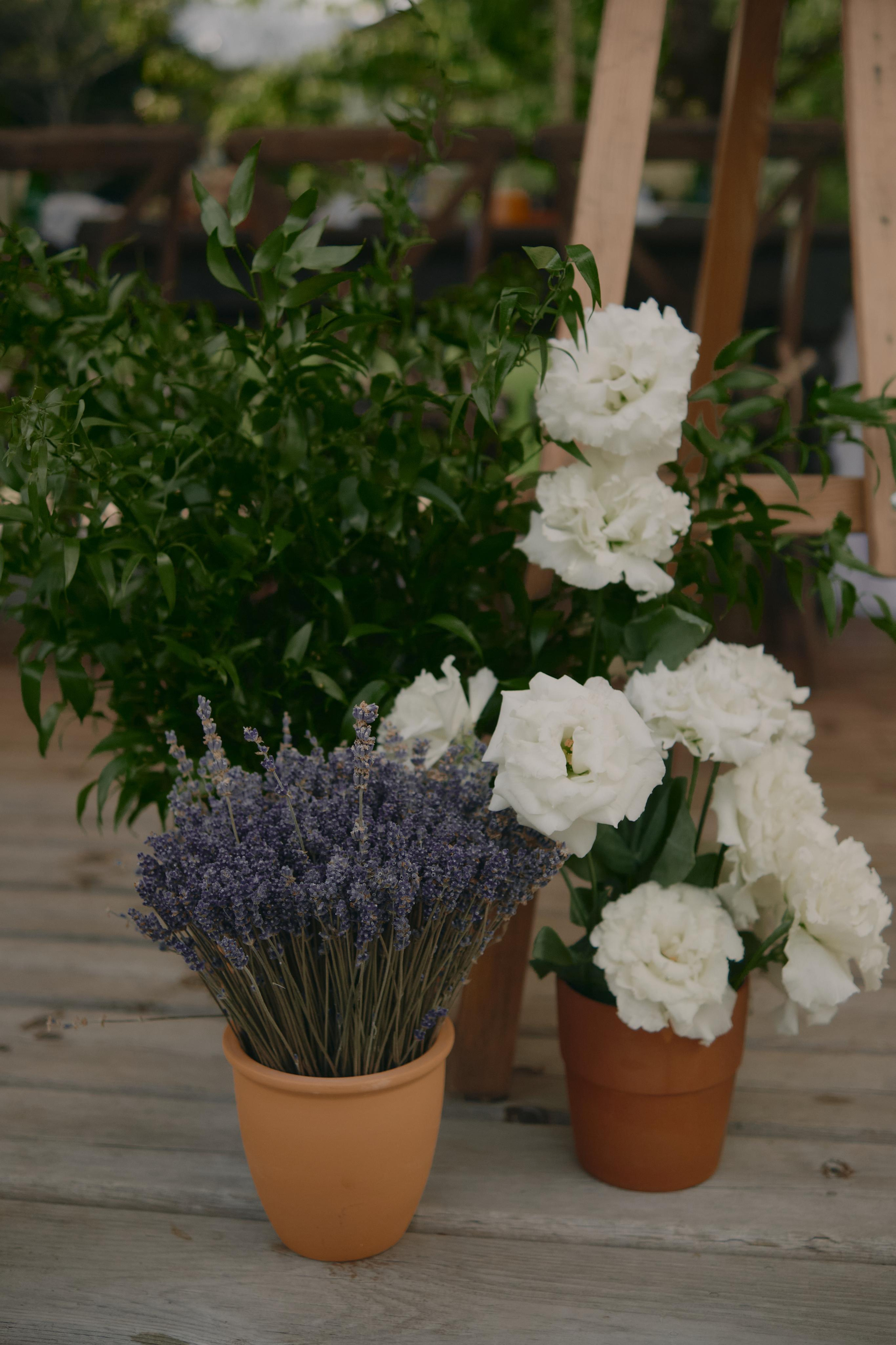 Камерная свадьба на Красной Поляне. Семейный и свадебный фотограф в Краснодаре