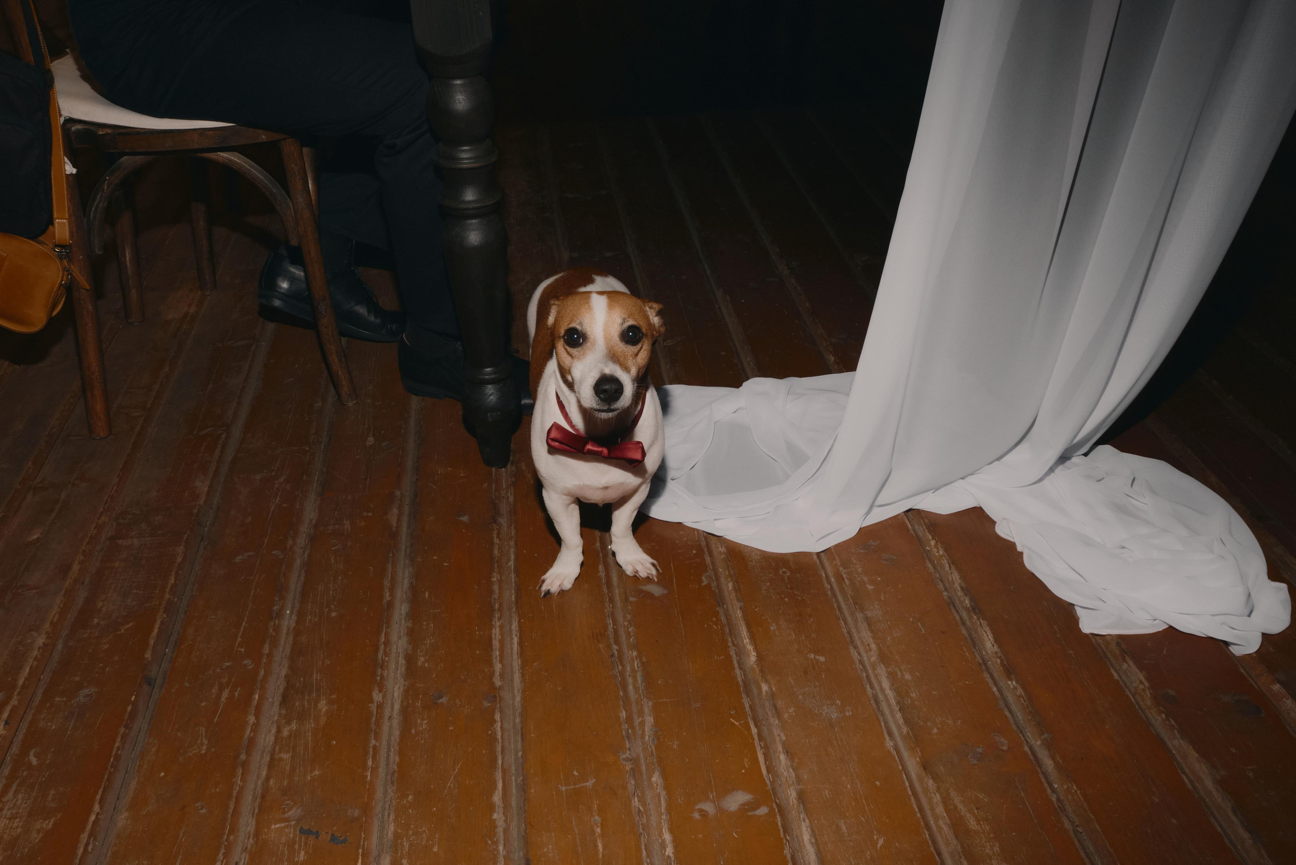 Камерная свадьба на Красной Поляне. Семейный и свадебный фотограф в Краснодаре