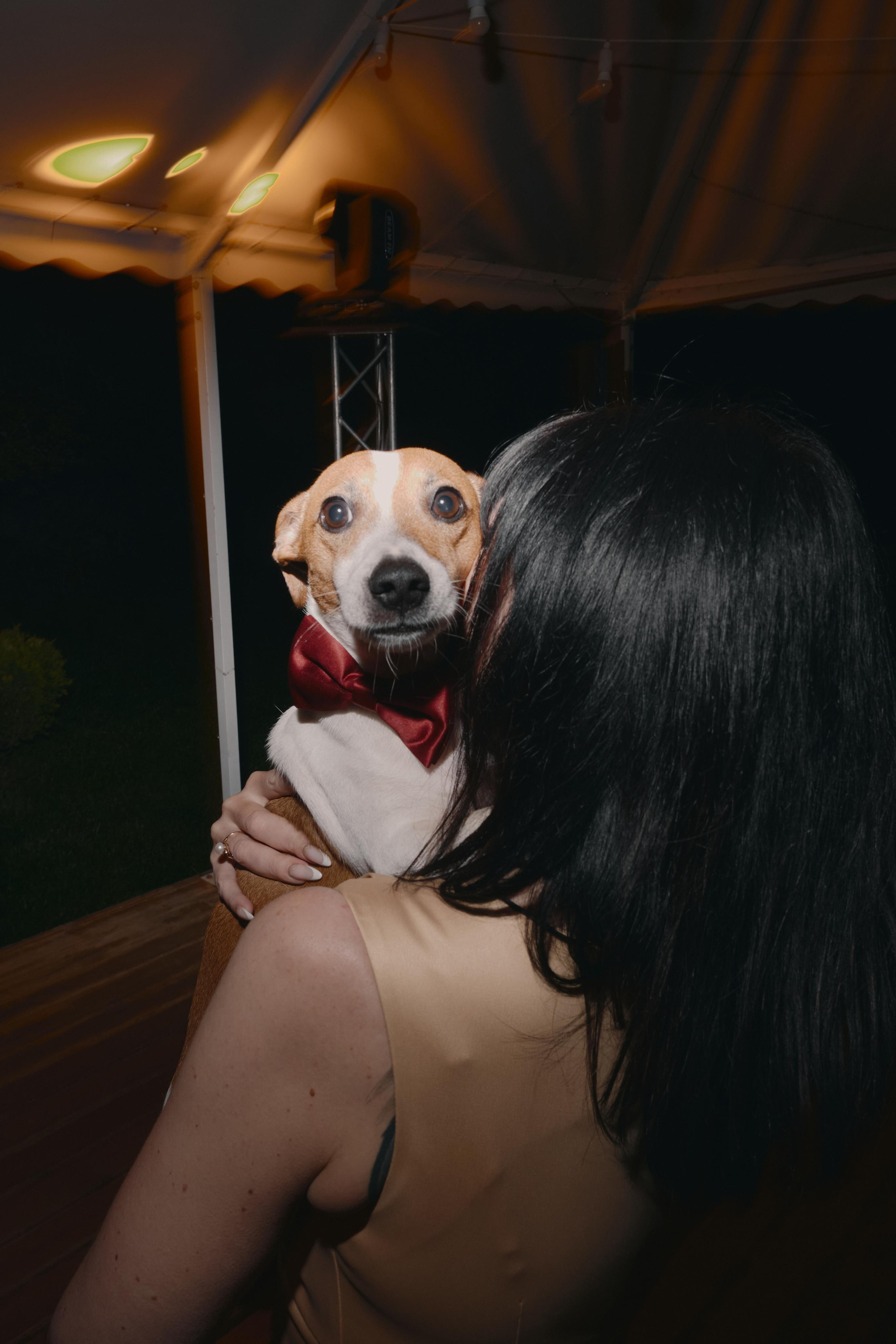 Юрий и Александра. Камерная свадьба в горах. Семейный и свадебный фотограф в Краснодаре