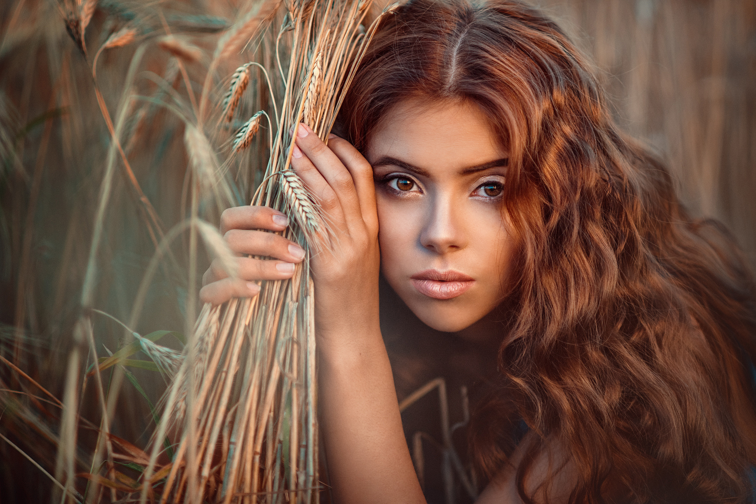 красивый портрет девушки с пшеничными колосьями