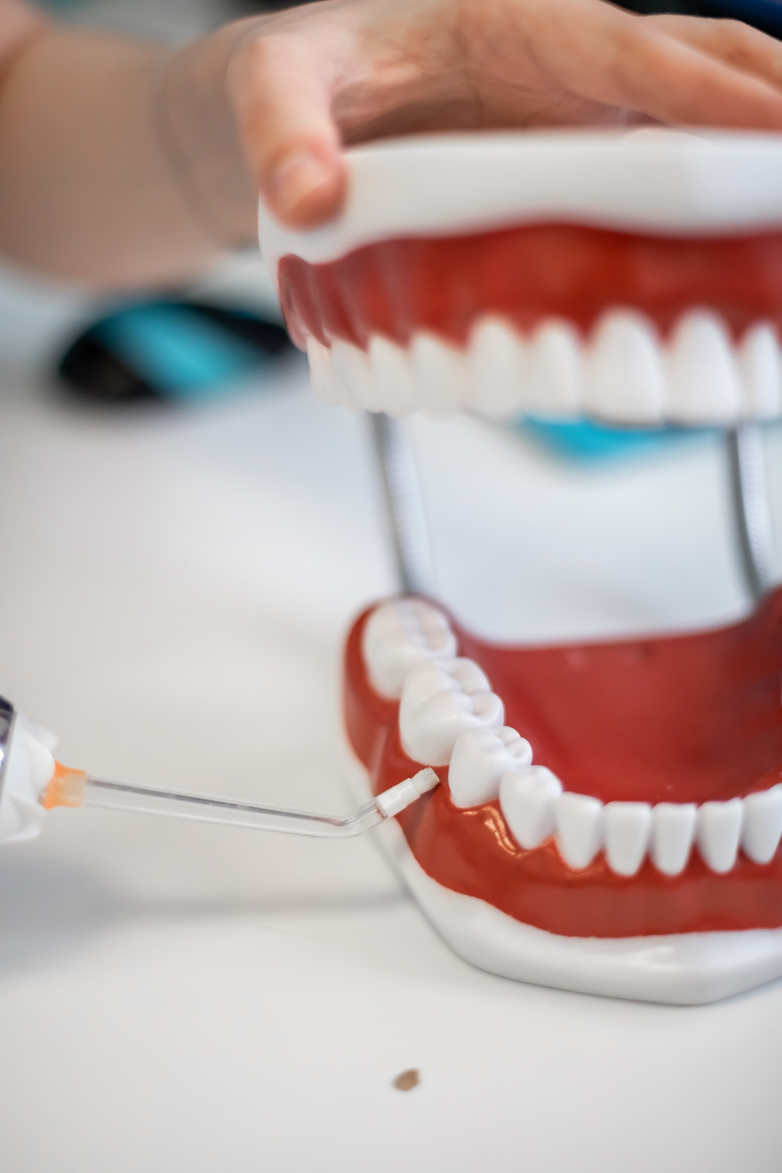 Стоматология. Фотограф в Москве Базанова Дарья