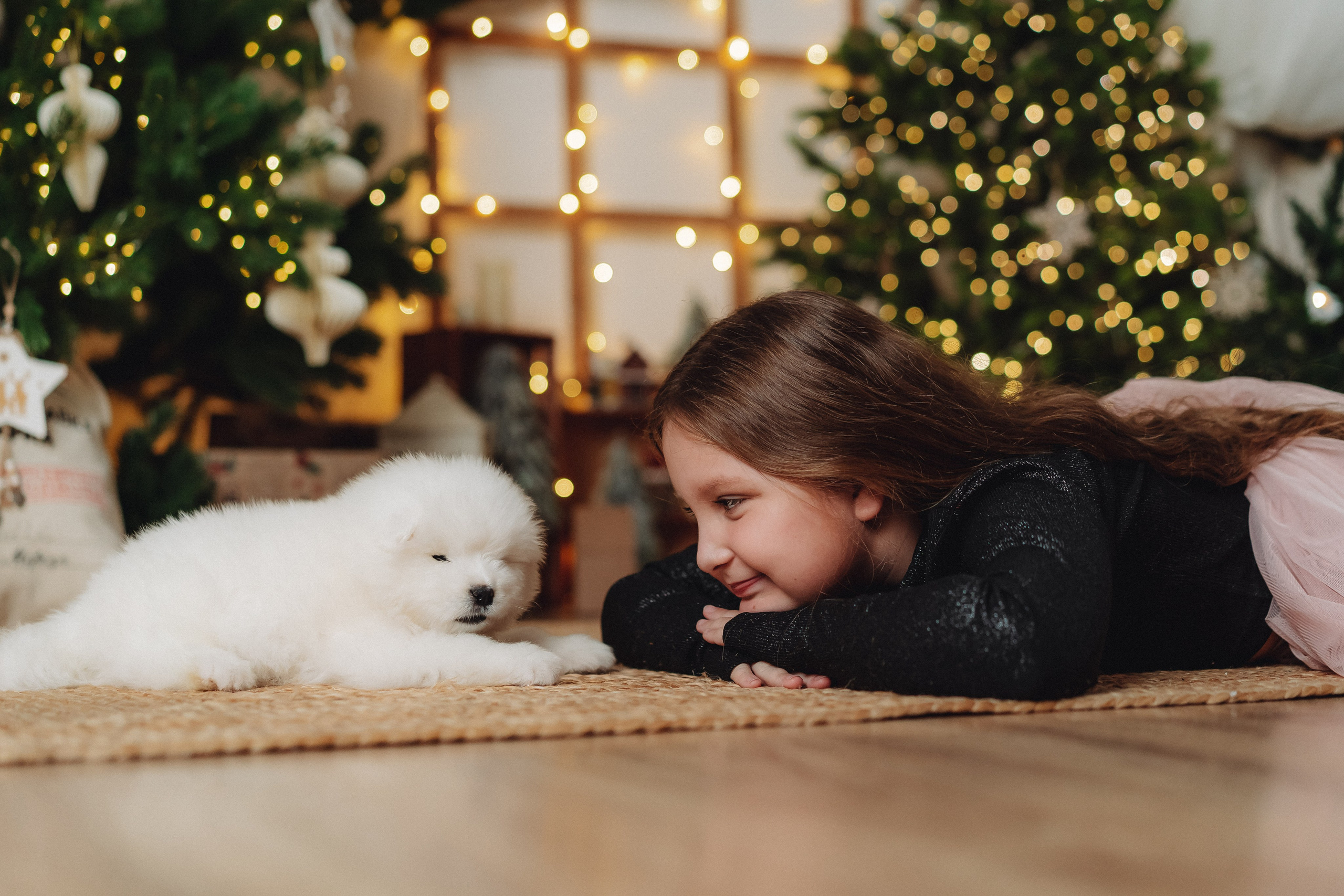 Новогодние фотосессии. Семейный и контент фотограф в Красноярске Власова Екатерина