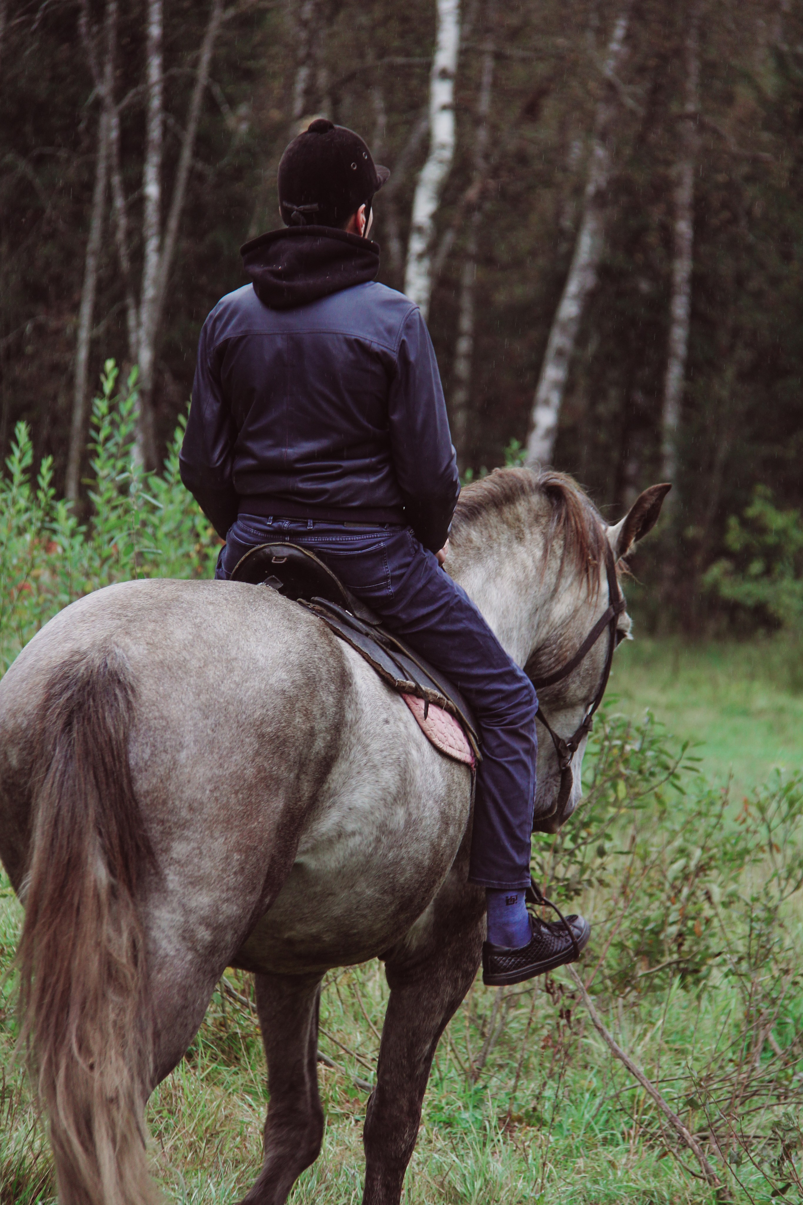 Лошадинг | 27.09.2025. Галерея Фантим
