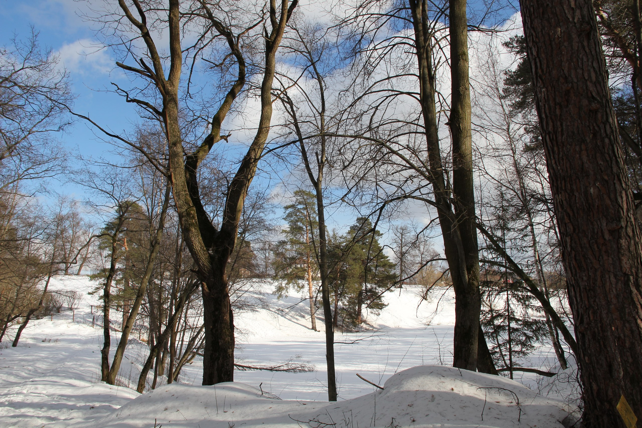 Пейнтбольная битва | 25.02.2017. Галерея Фантим