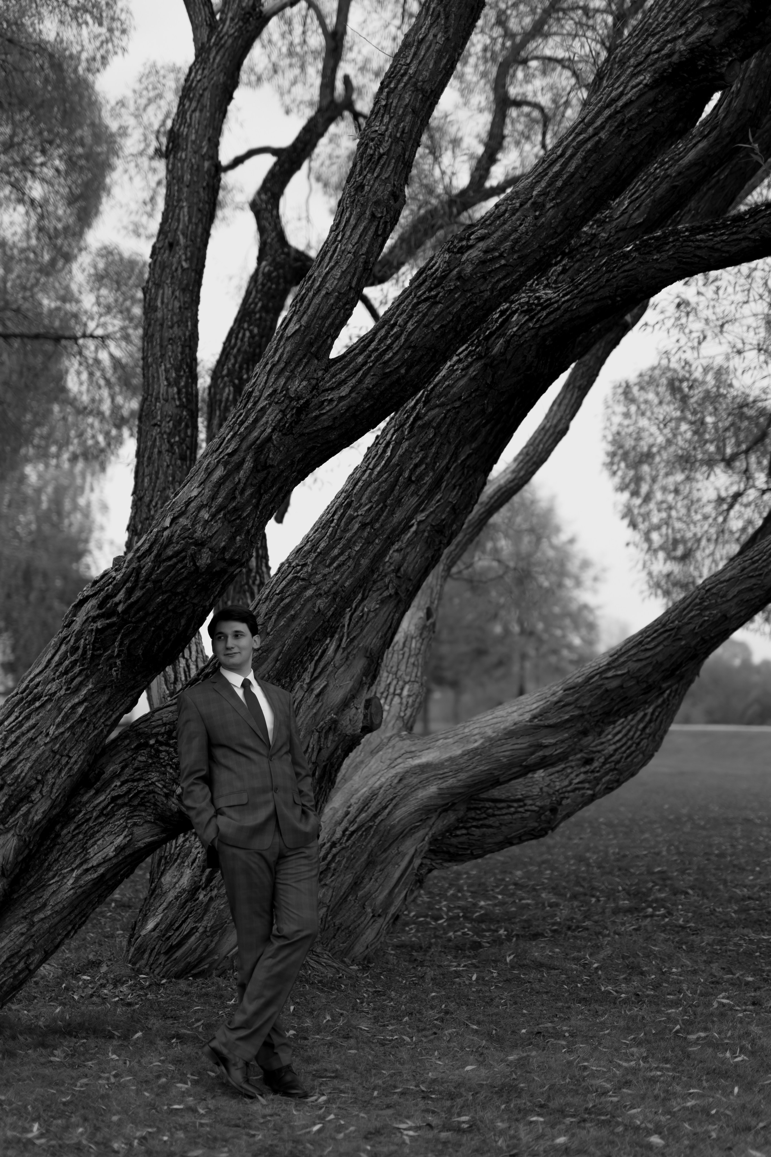 Свадьба Даниила и Виктории. Фотограф Кольчугино/Владимир/Москва Елизавета Иода