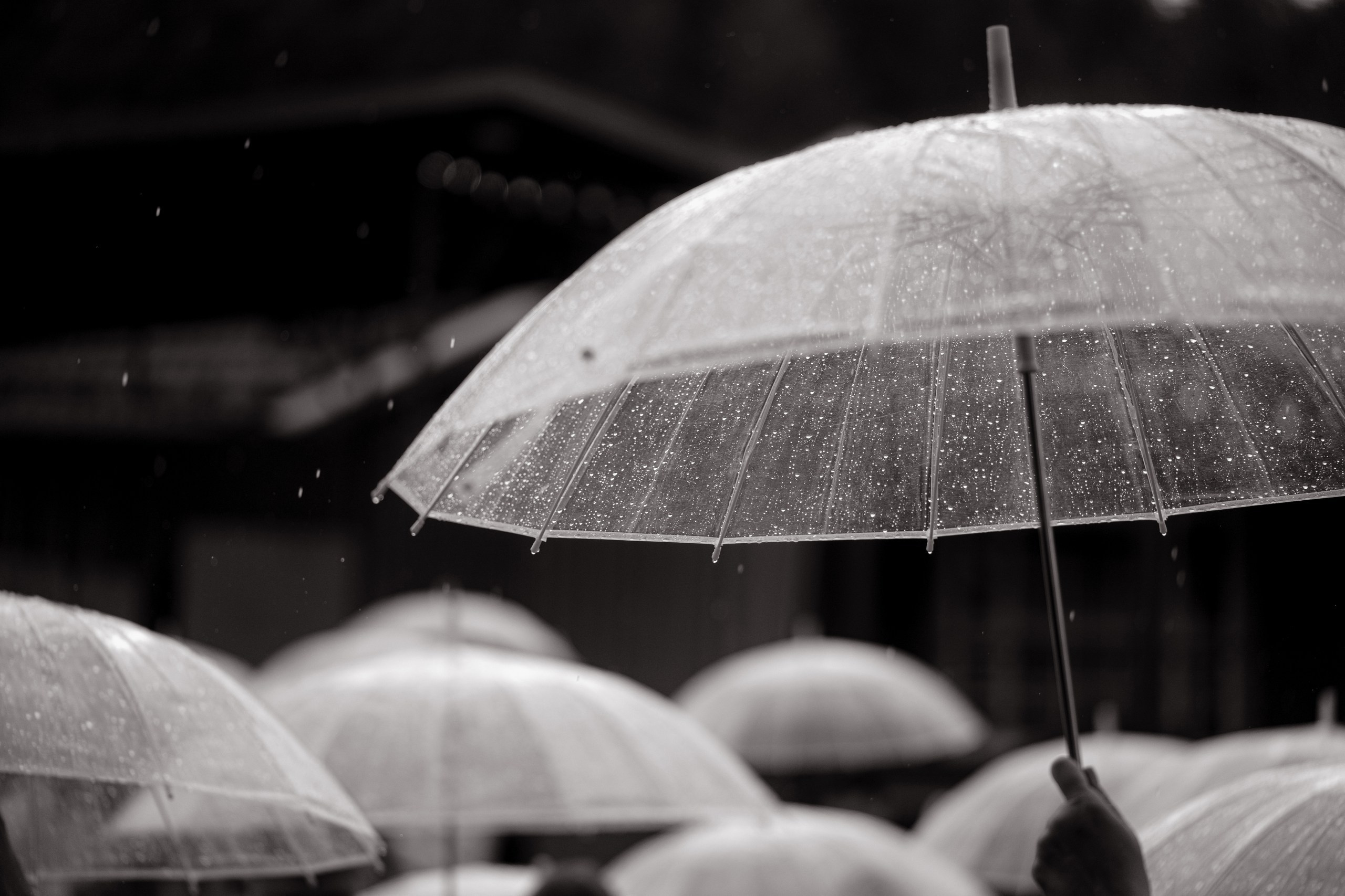«Красиво быть СЧАСТЛИВЫМИ». Фотограф Томск, Новосибирск Влад Свириденко