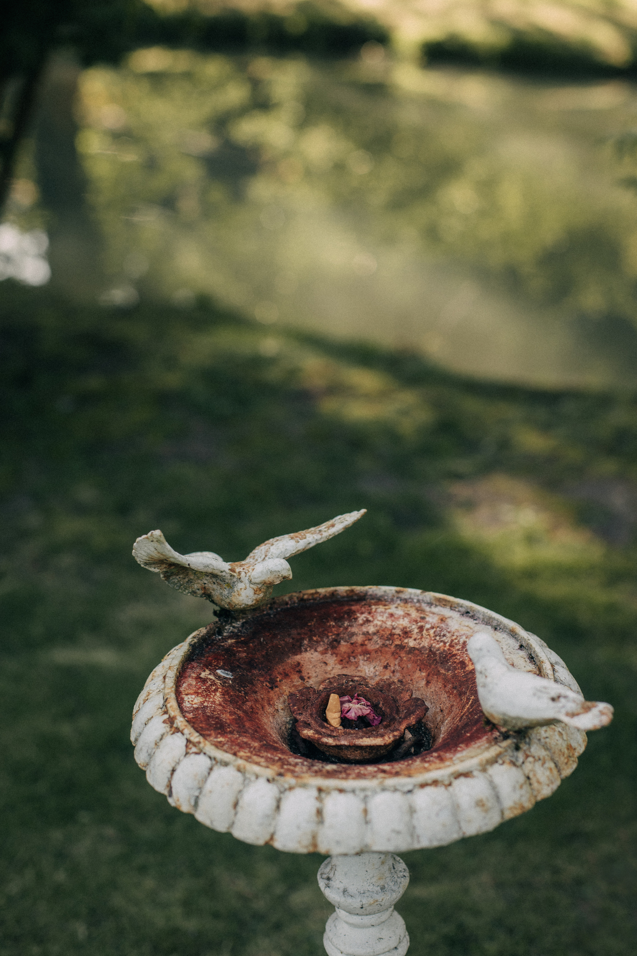 Ana & Hugo. Photographe à Paris