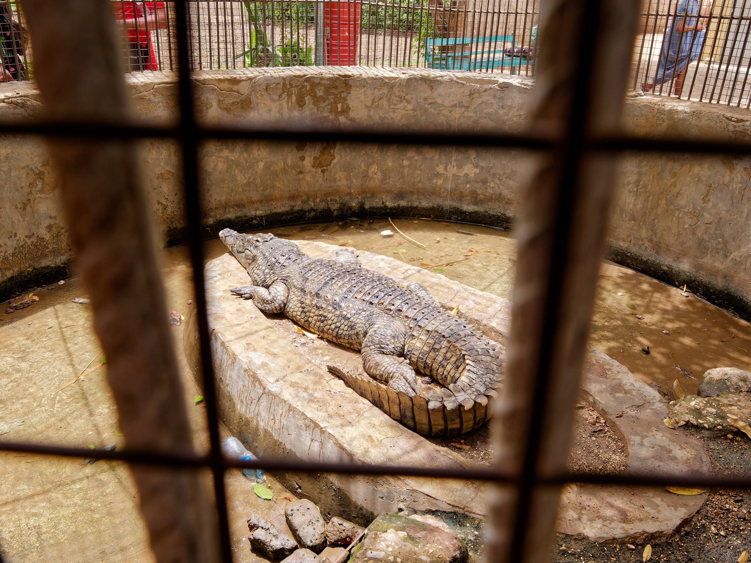 Луксор 2022, Нил, Долина царей. Избранные фотографии