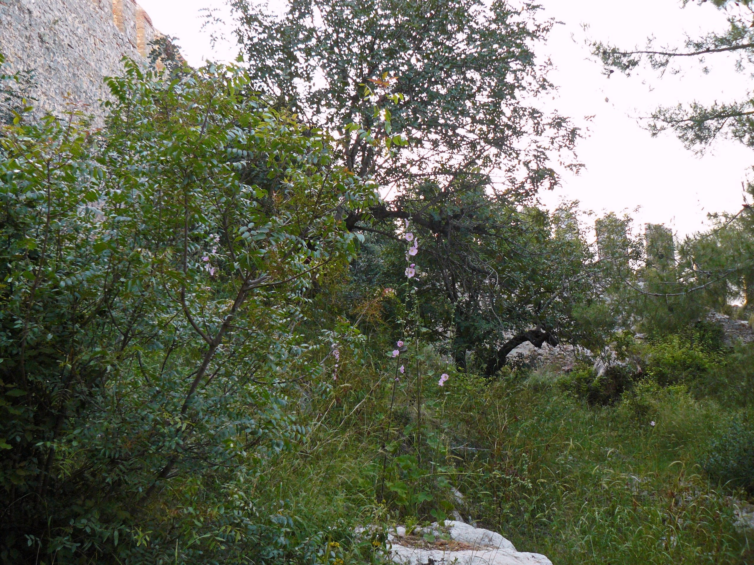 Алания 2014 старая крепость. Фотопрогулки по Миру