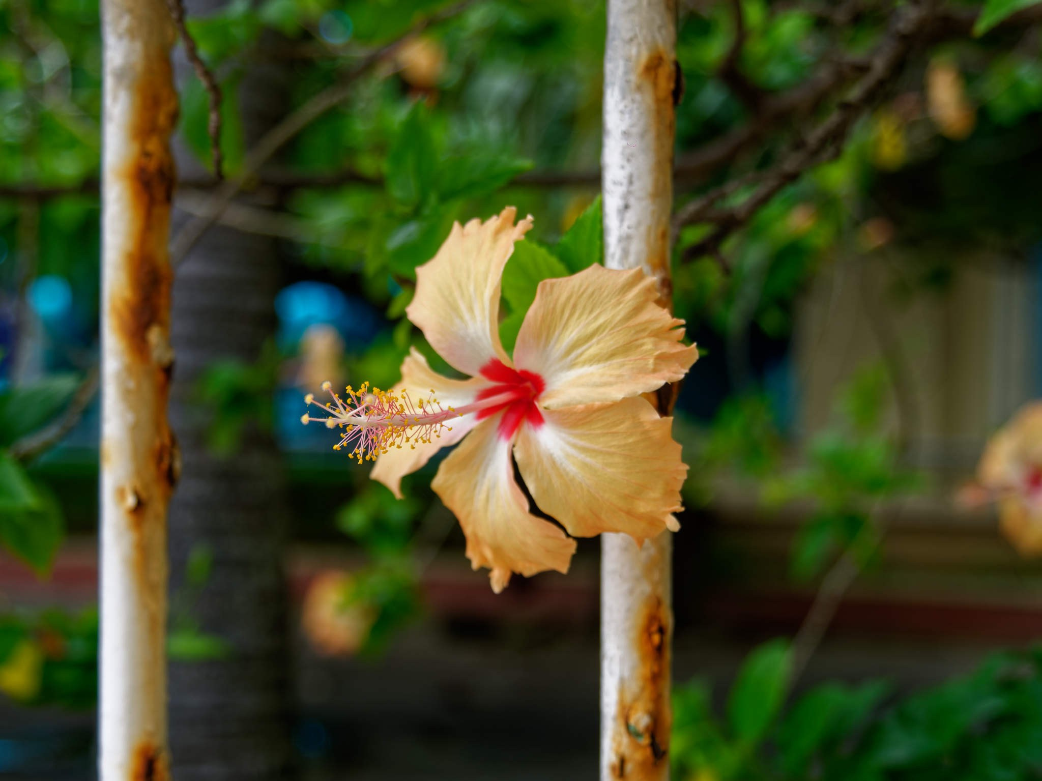 Нячанг 2023. Избранные фотографии