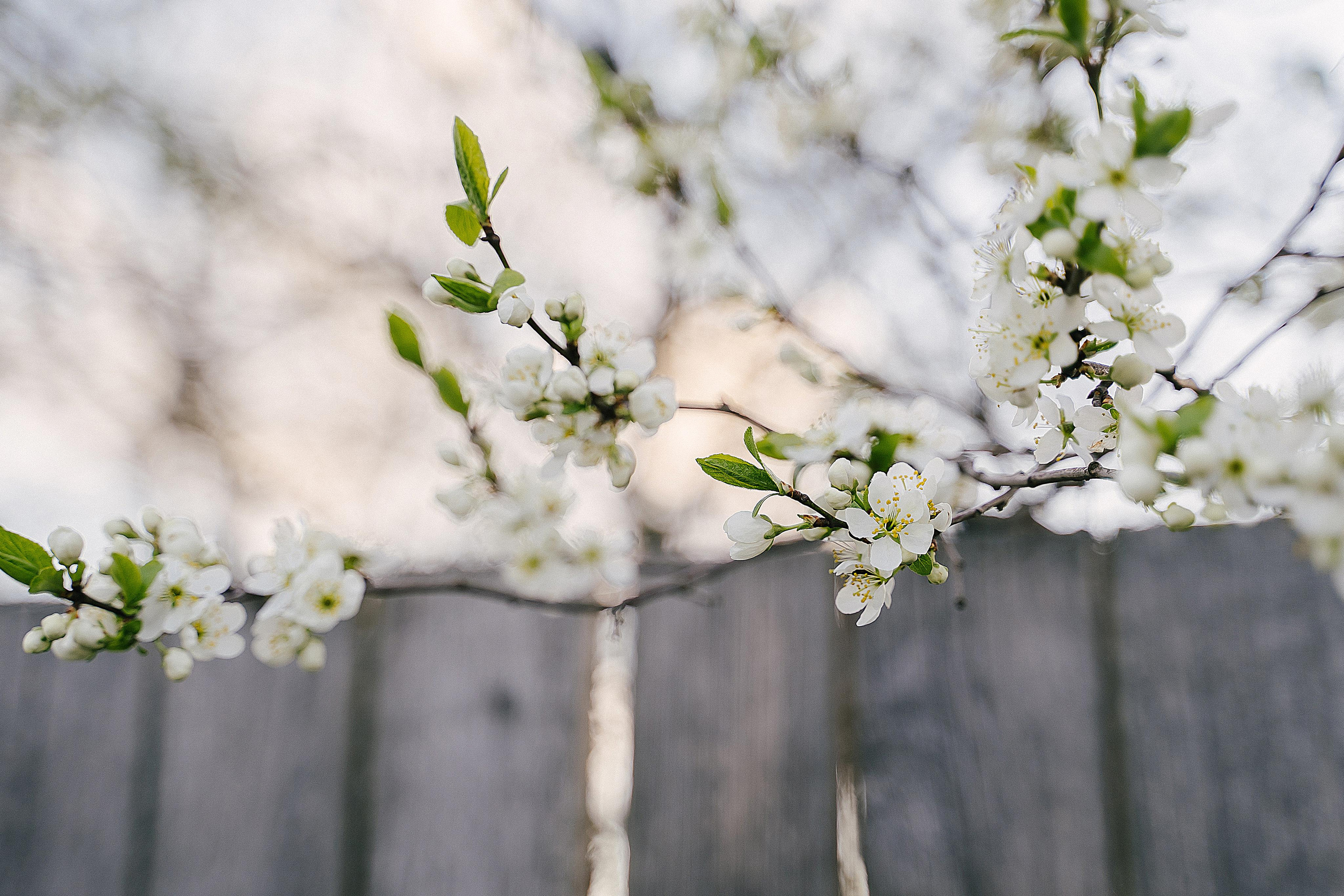 Портфолио. Снимаю жизнь ❤