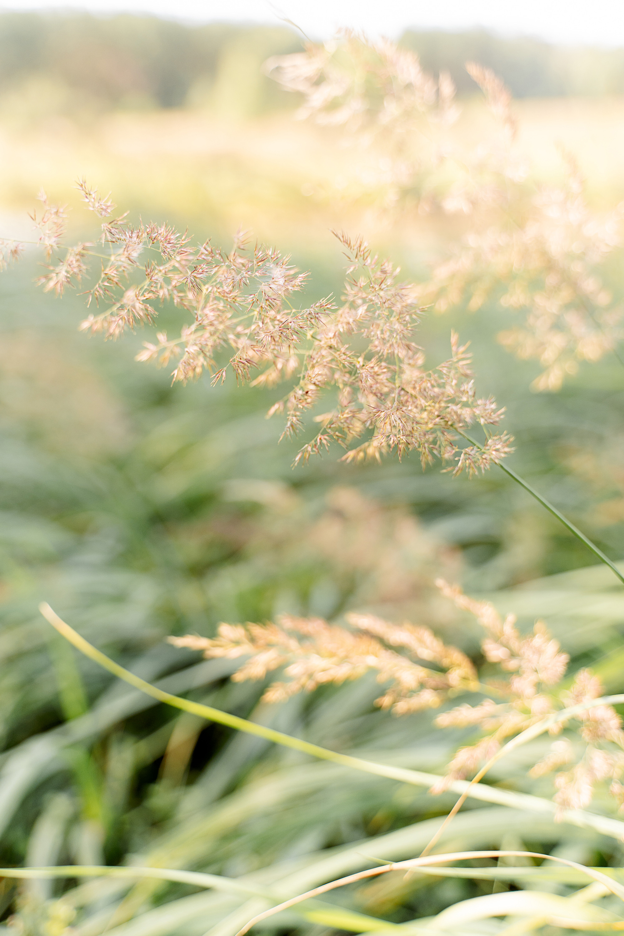 Ожидание. Снимаю жизнь ❤