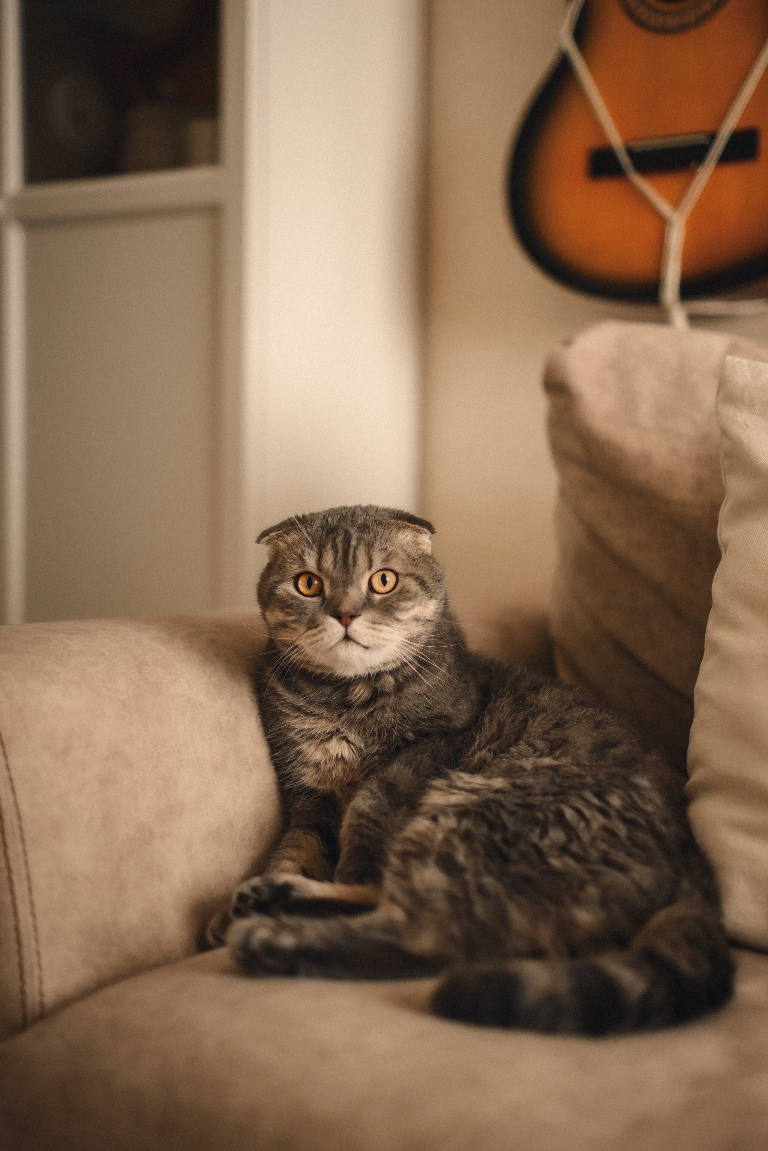 Первая фотосессия маленькой Яны. Семейный фотограф в г. Ставрополь, Сорокина Мария