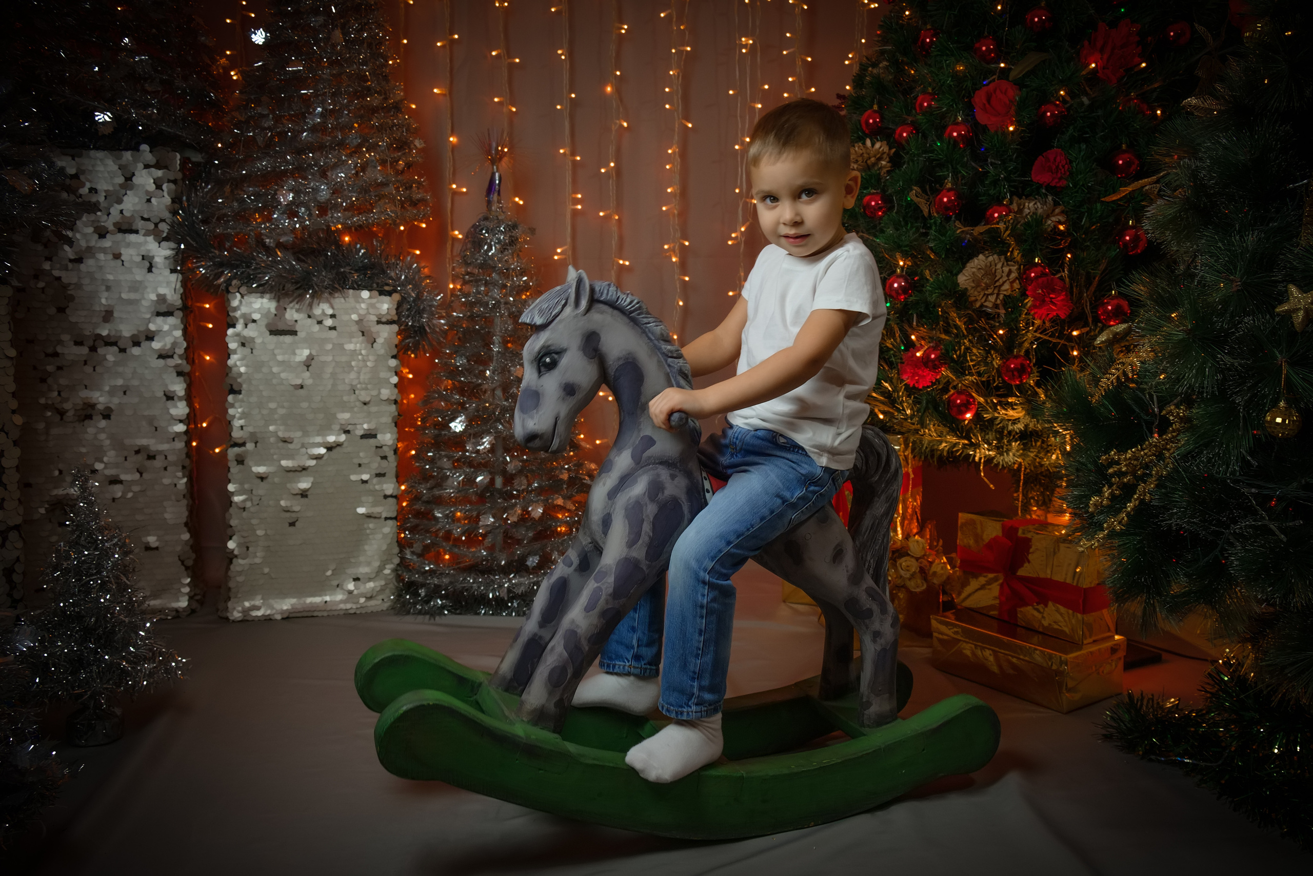 Школа Счастливой жизни Новогодняя. Фото для контента и семейных альбомов. Новосибирск Мария Колчанова