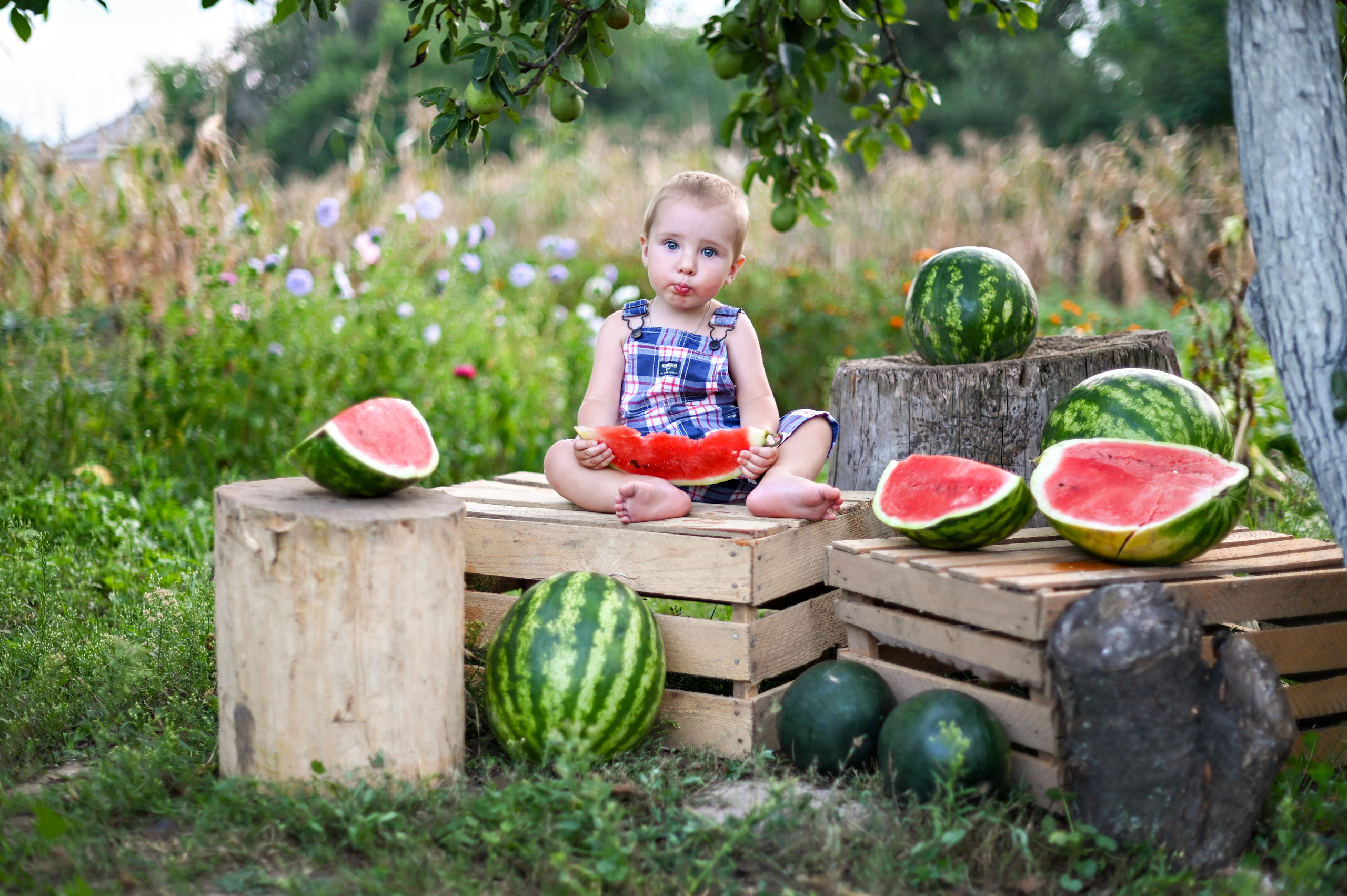 детская фотосессия с арбузами