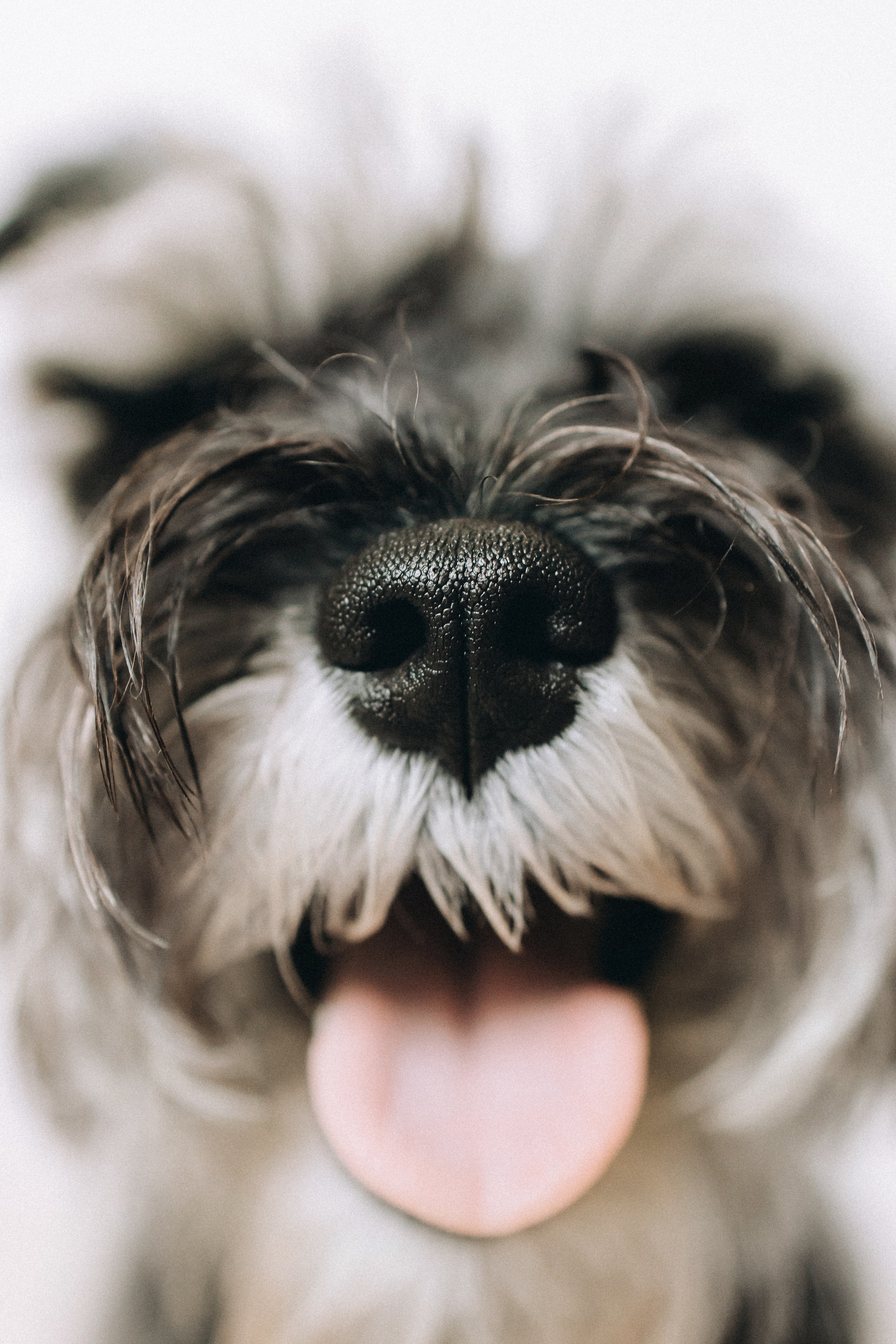 Лена и Зефир