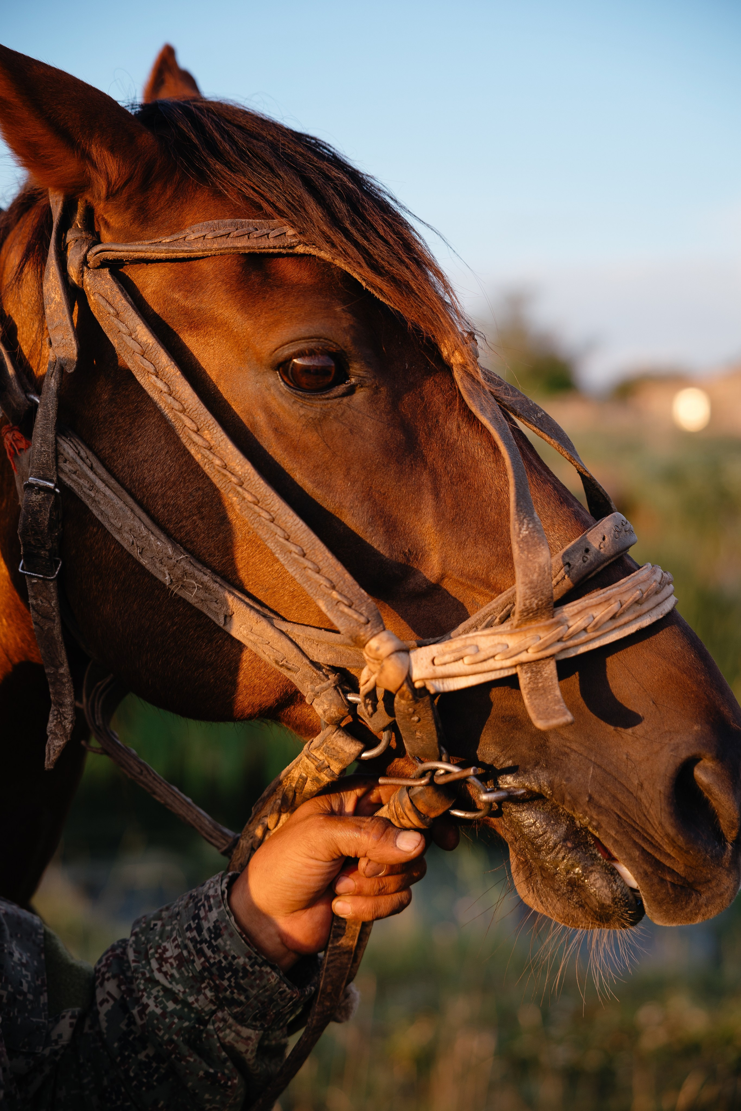 Д. Урасхан. Свадебный фотограф Виктория
