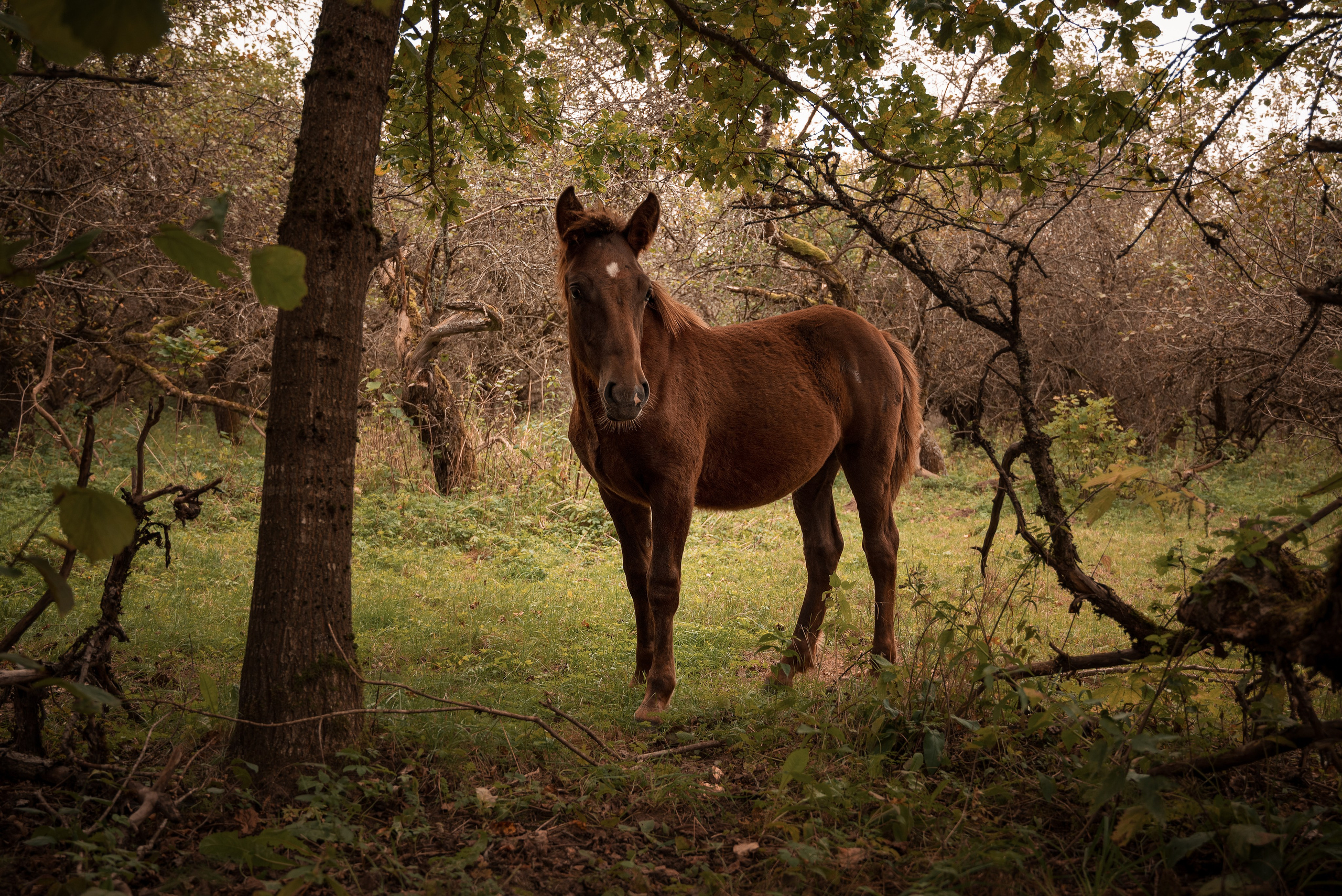 Места. Фотограф в Минске Дарья Кончакова