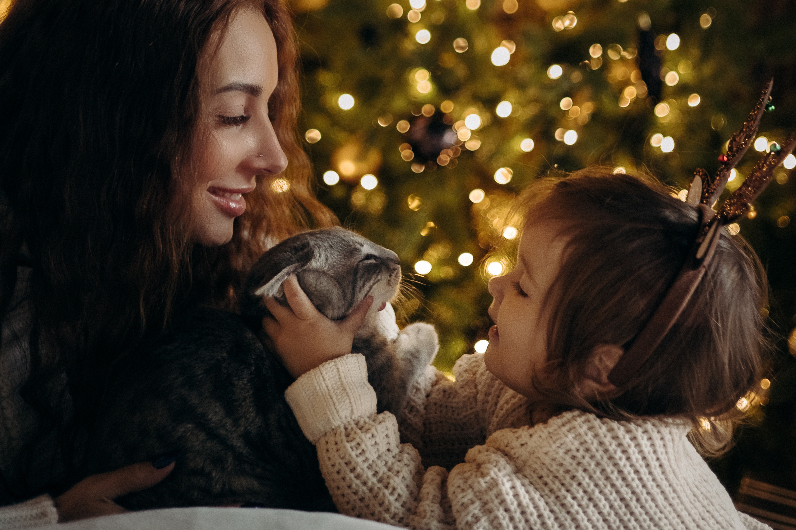 Истории. Фотограф свадебный семейный в Красноярске Шукшина Наталья