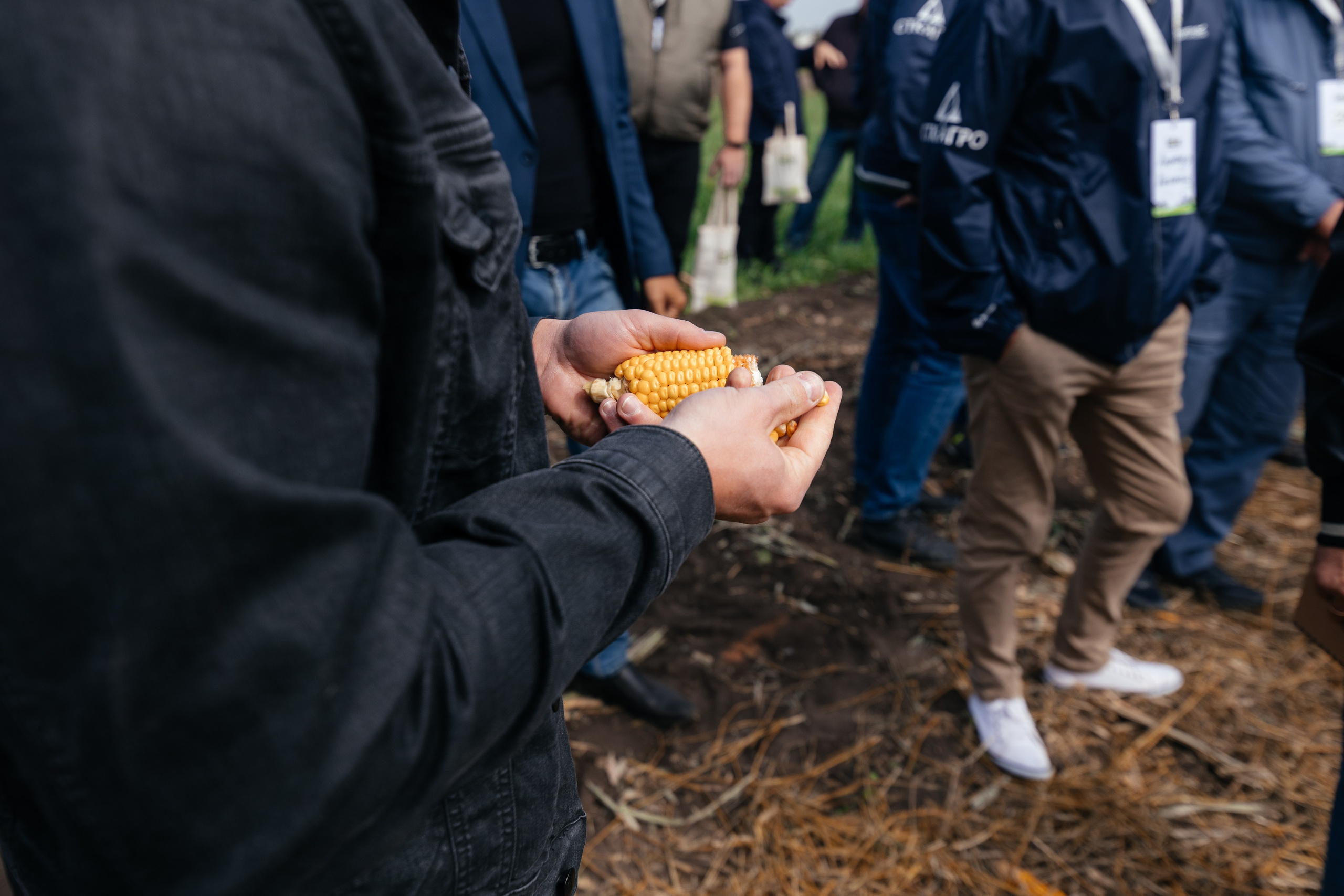 День поля. Фотограф Крохин Олег