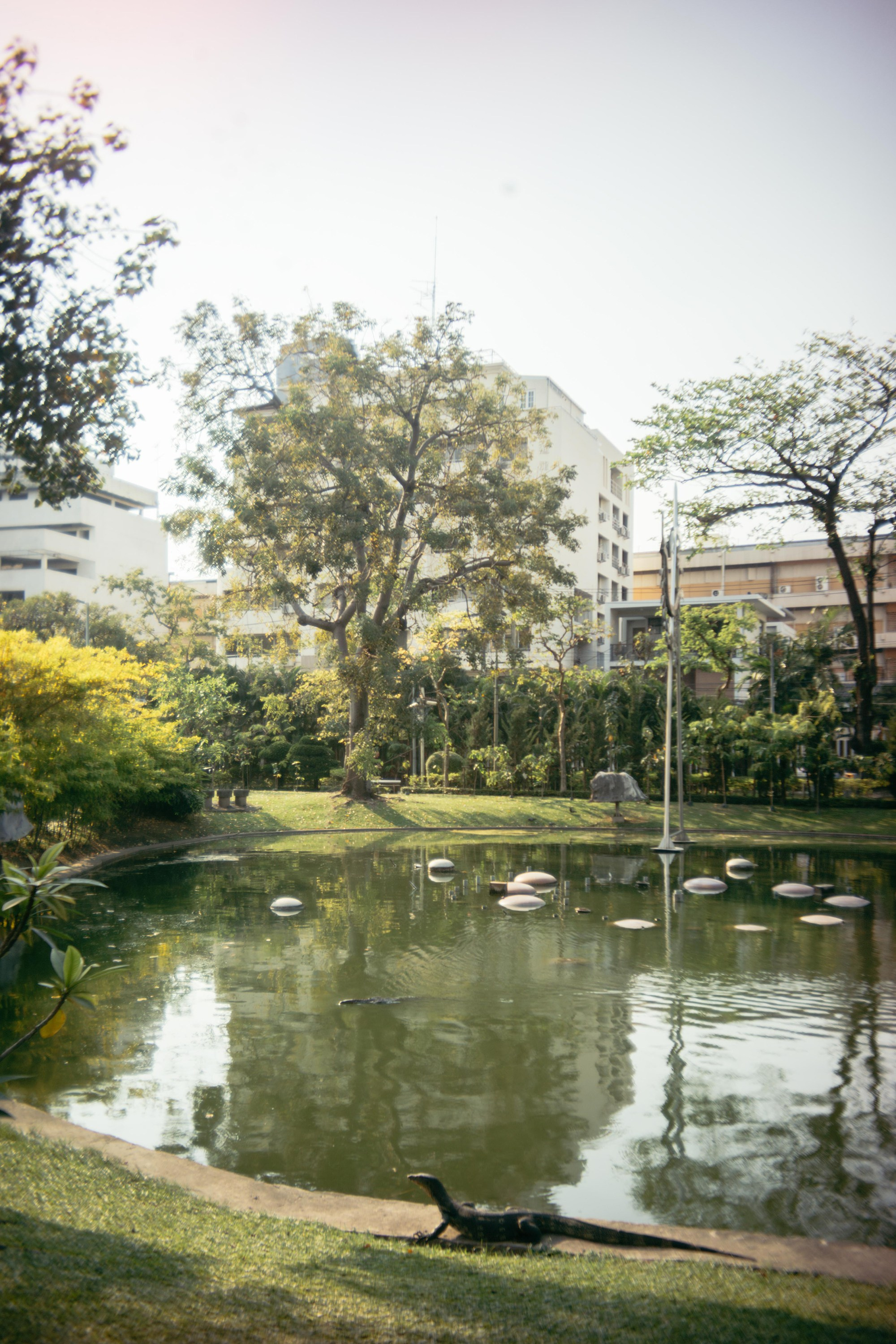 Шри + Бангкок. Фотограф Тбилиси Саша Мороз