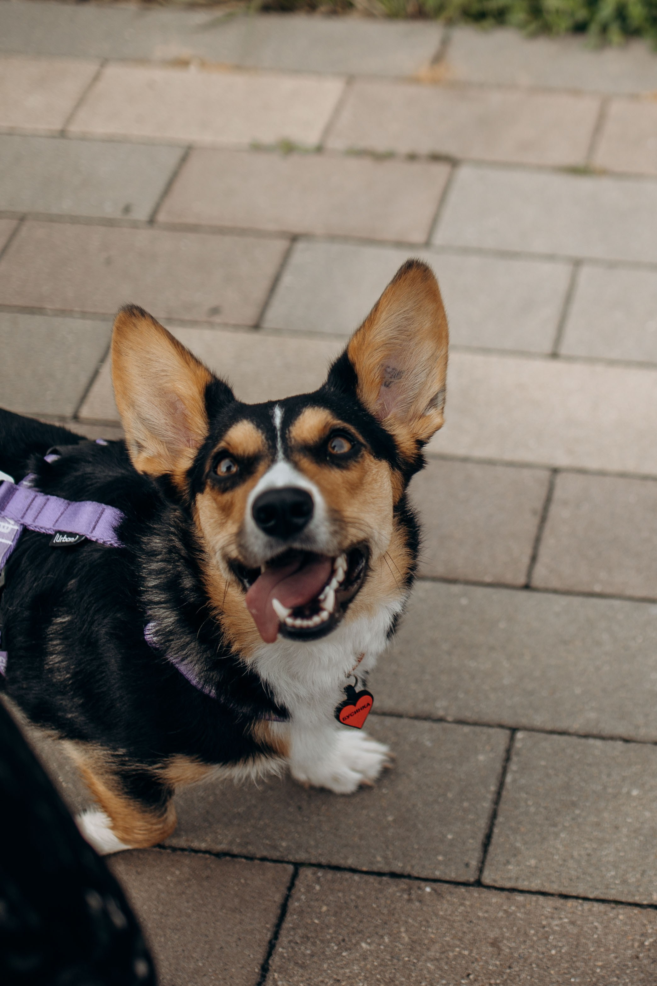 Тамара и Бусинка