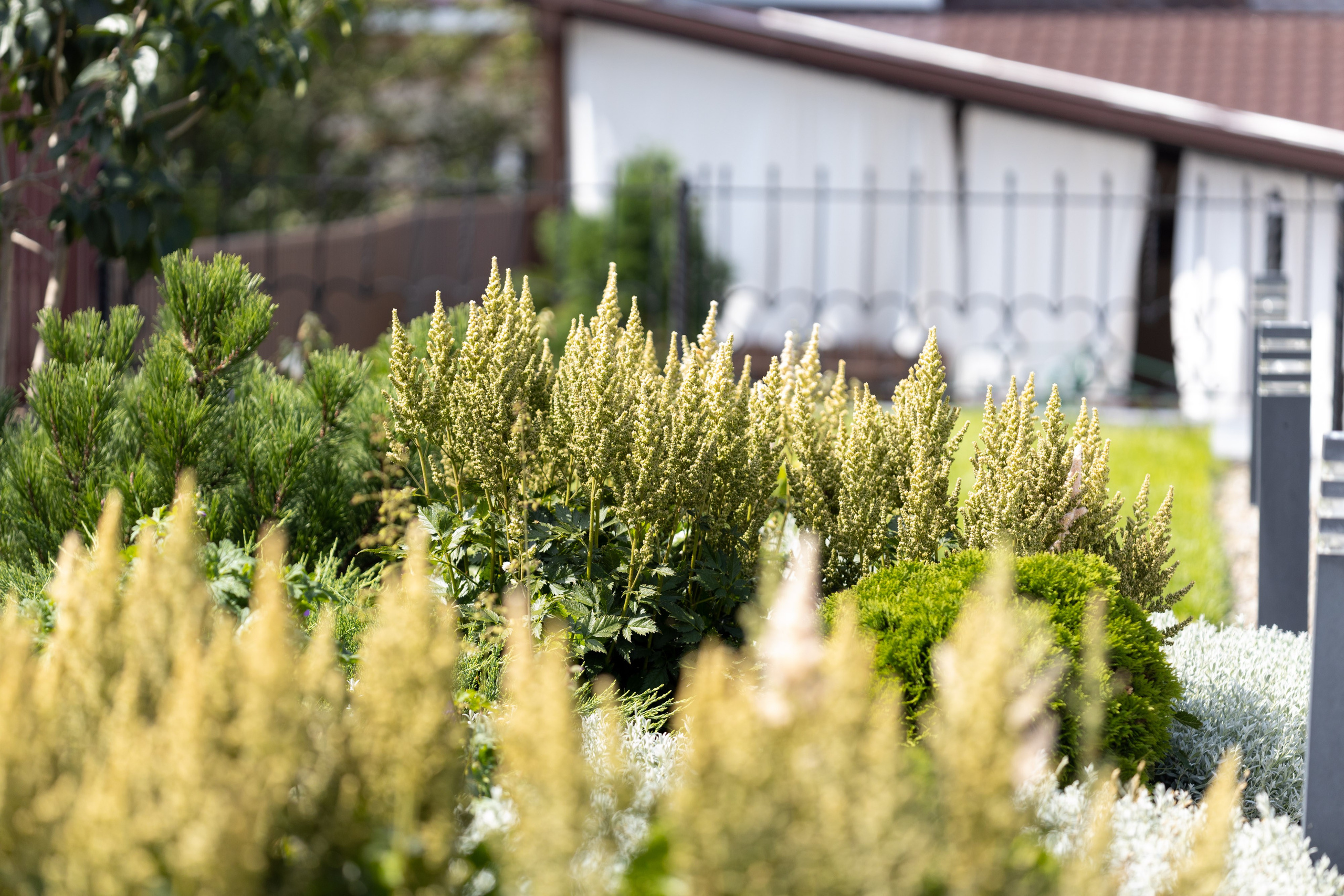 Загородный участок. Фотограф Родион Нарудинов