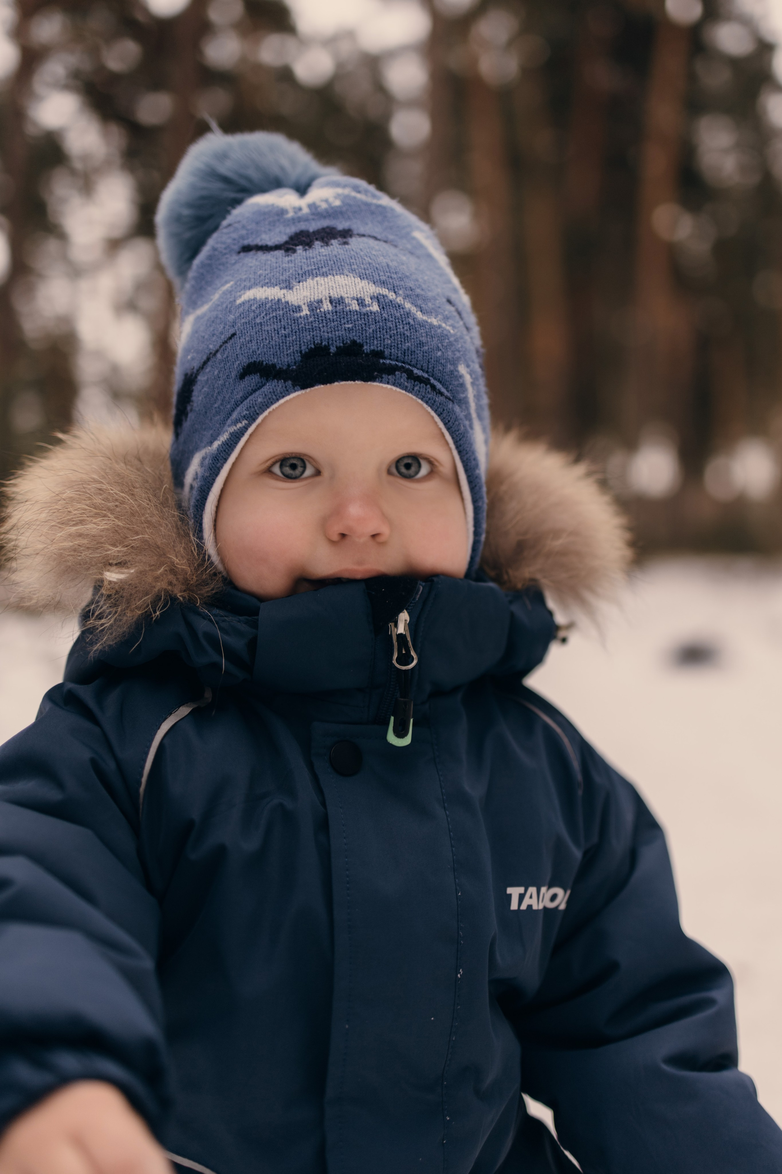 Прогулка в лесу. Коновалова Ольга | фотограф в Пензе и Заречном