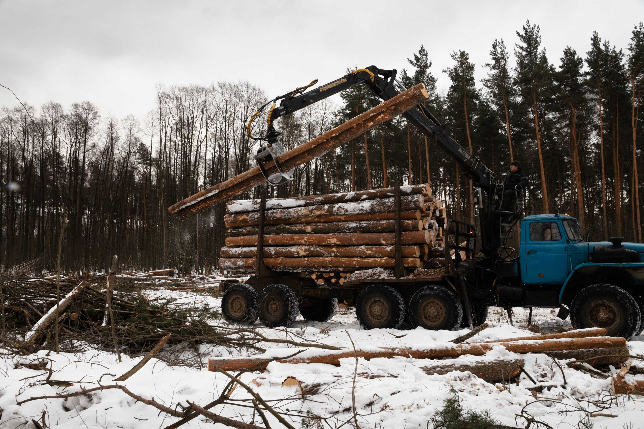 Я здесь живу. DASHA KALNINA