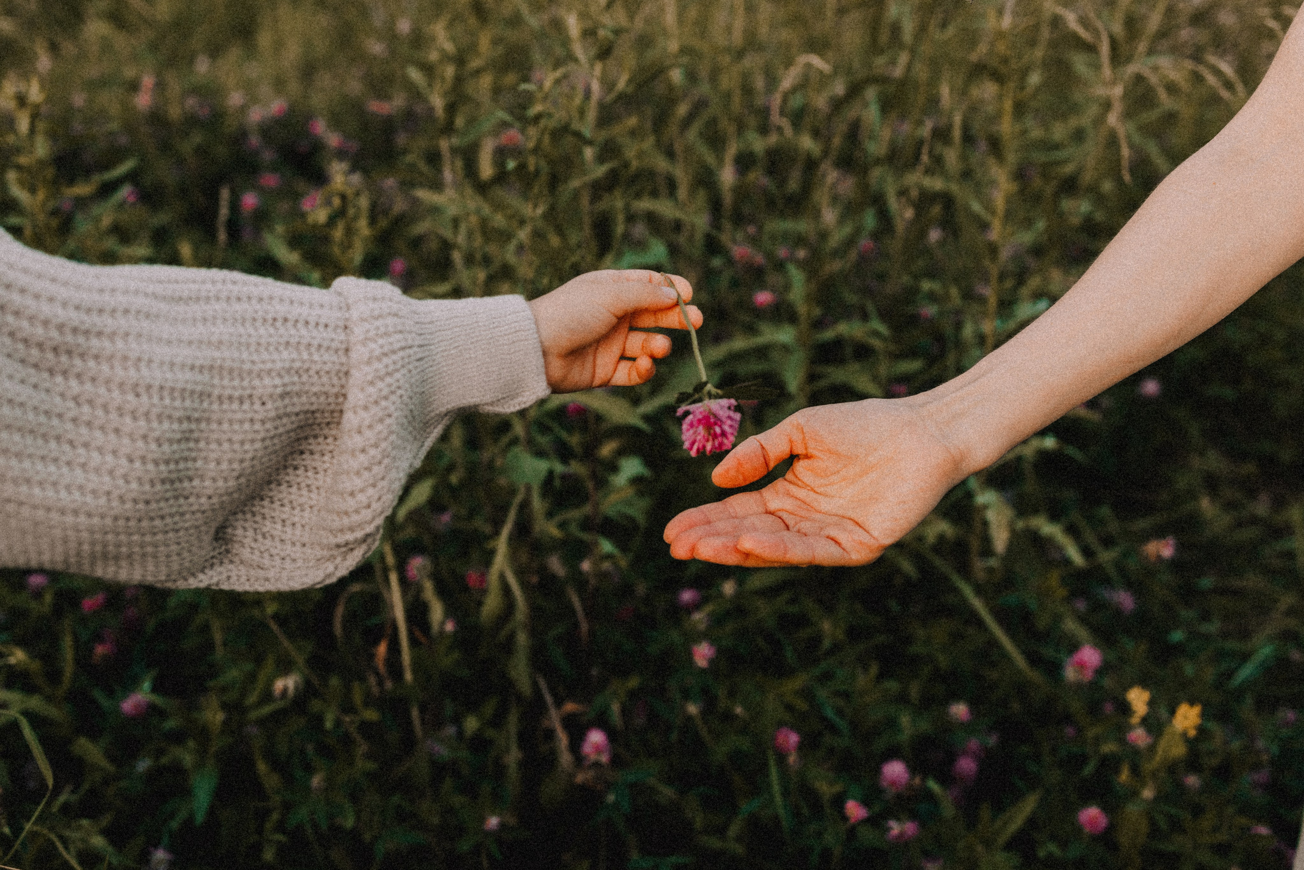 Илья, Катя, Ваня и Соня. Семейный фотограф Москва