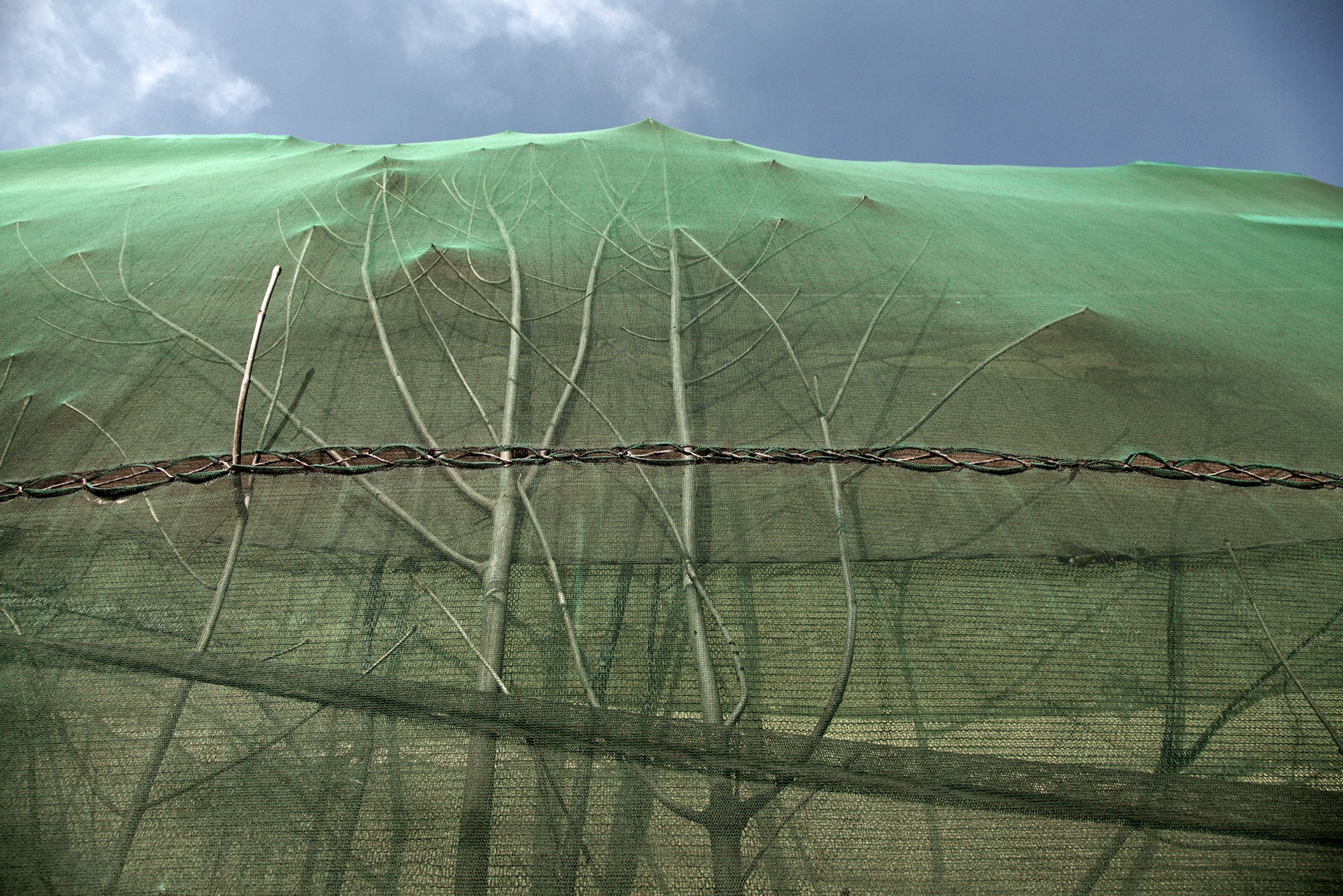 Симуляторы (Каталог № 1). Главная