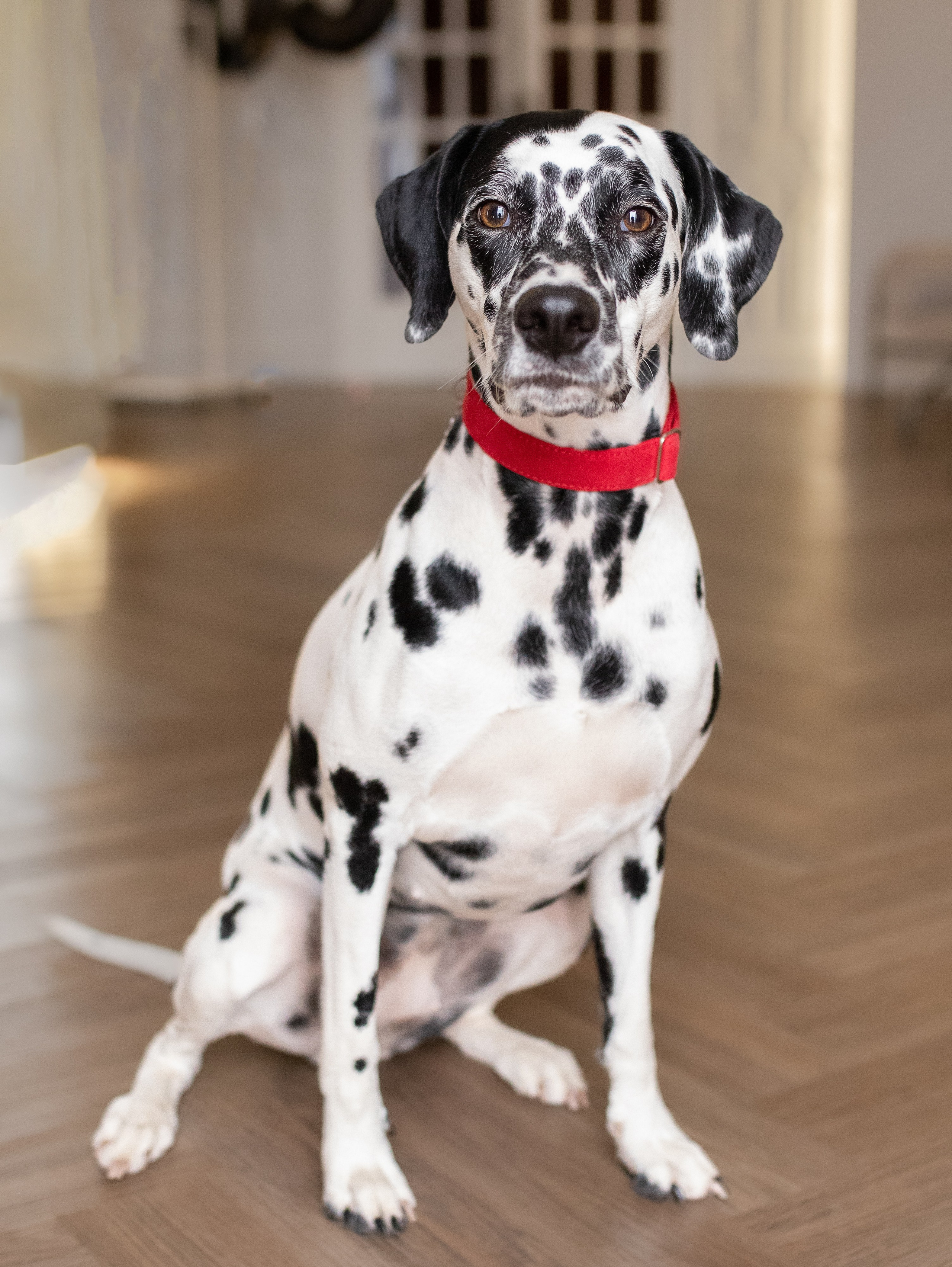 Ульяна. Семейный фотограф в Санкт-Петербурге Ирина Иванова