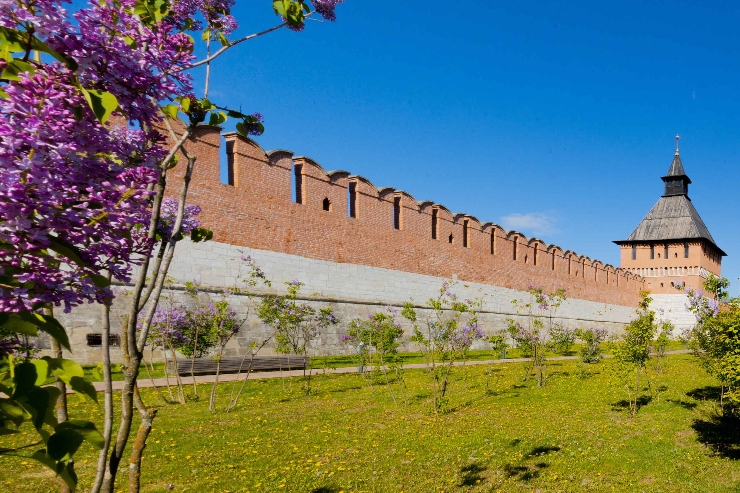 Весеннее цветение в Туле. Фотограф в Туле Крупский АнДРей. Фотостудия «КАДР71» в Туле