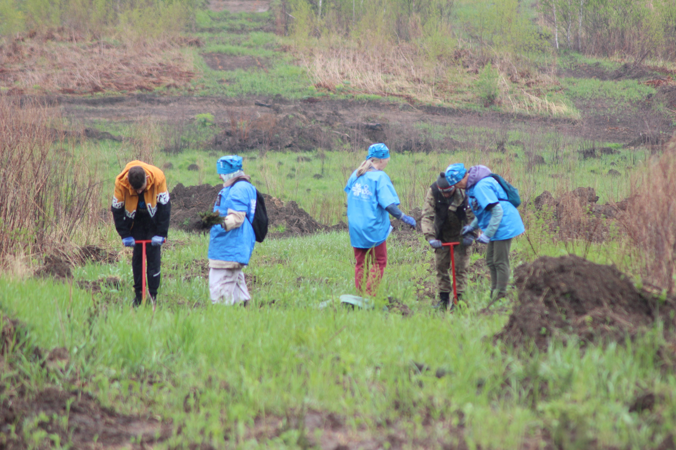 Siberian wellness «100 Га от нас — планете»