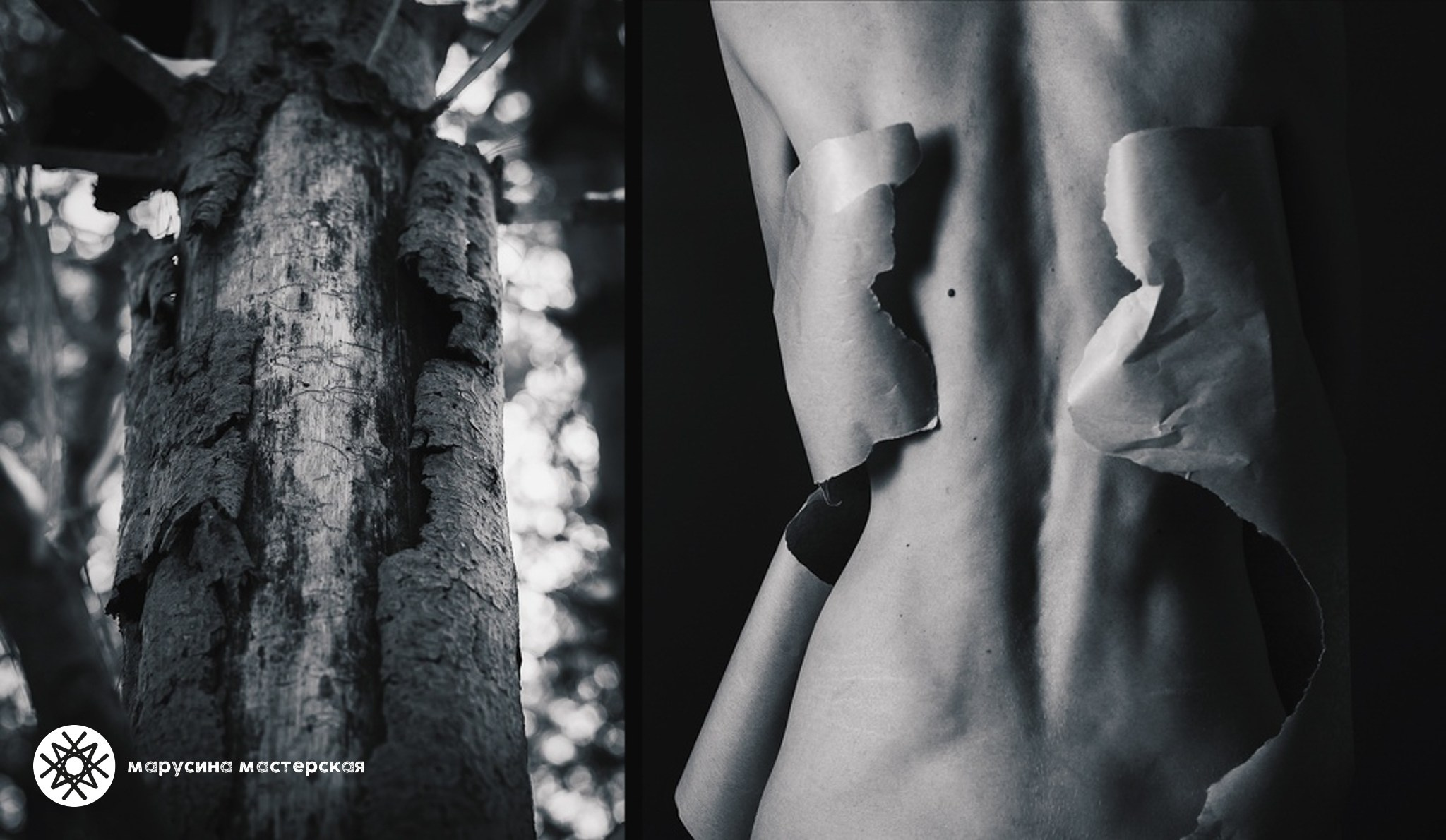 Алина Санду