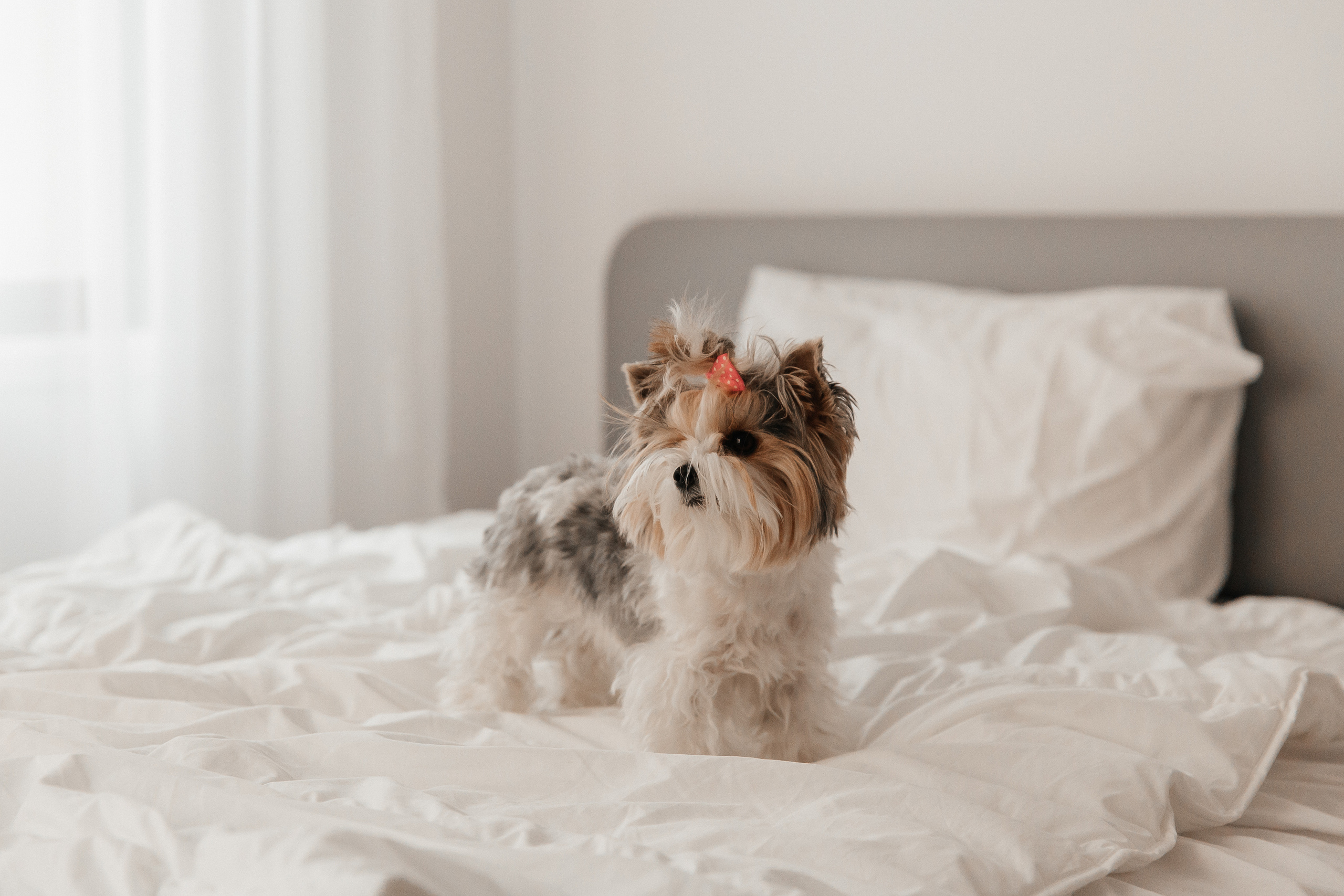 Home. Фотограф на Кипре Наталья Годына