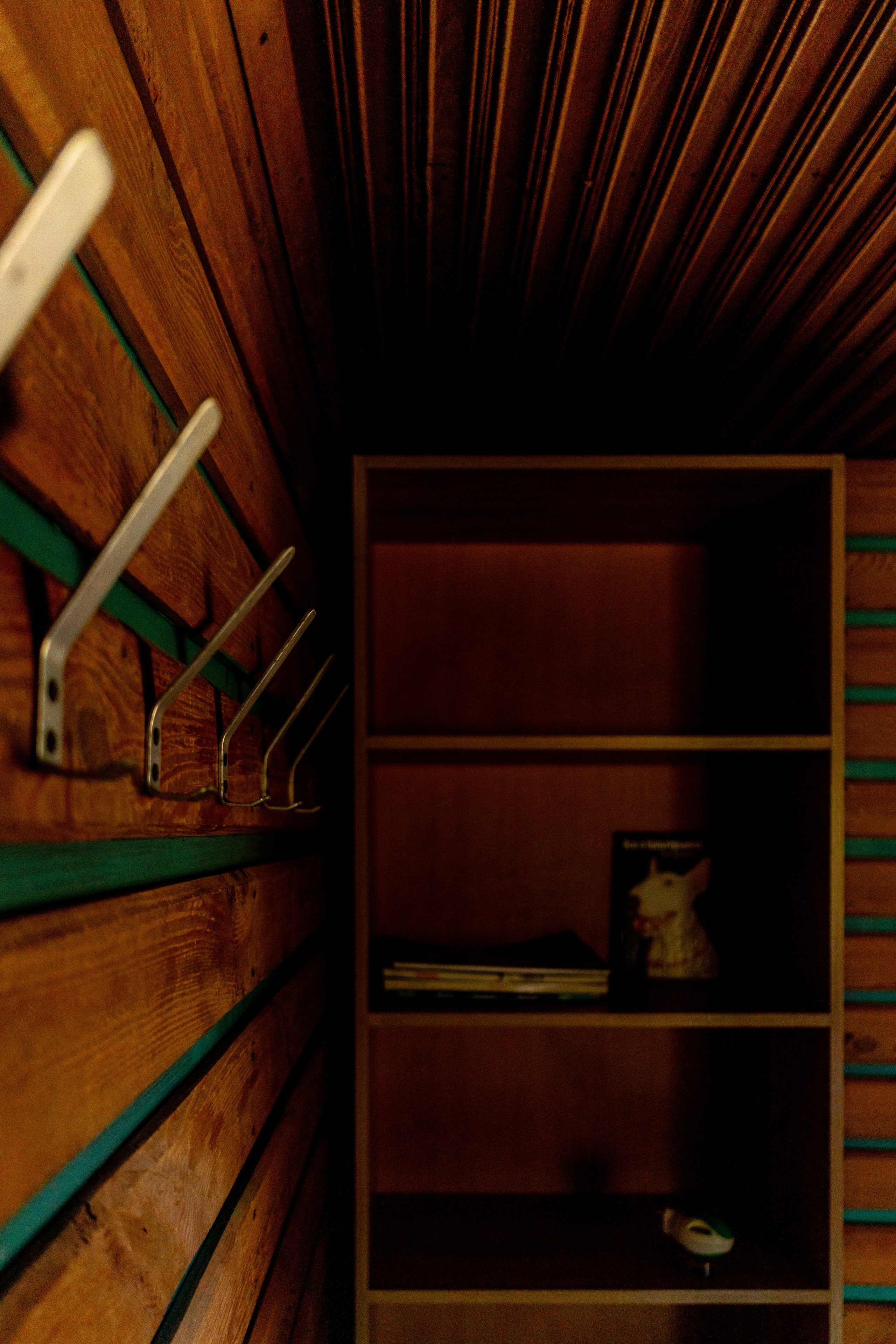 Полянка. Анастасия Паршукова — фотограф Шерегеш Новосибирск