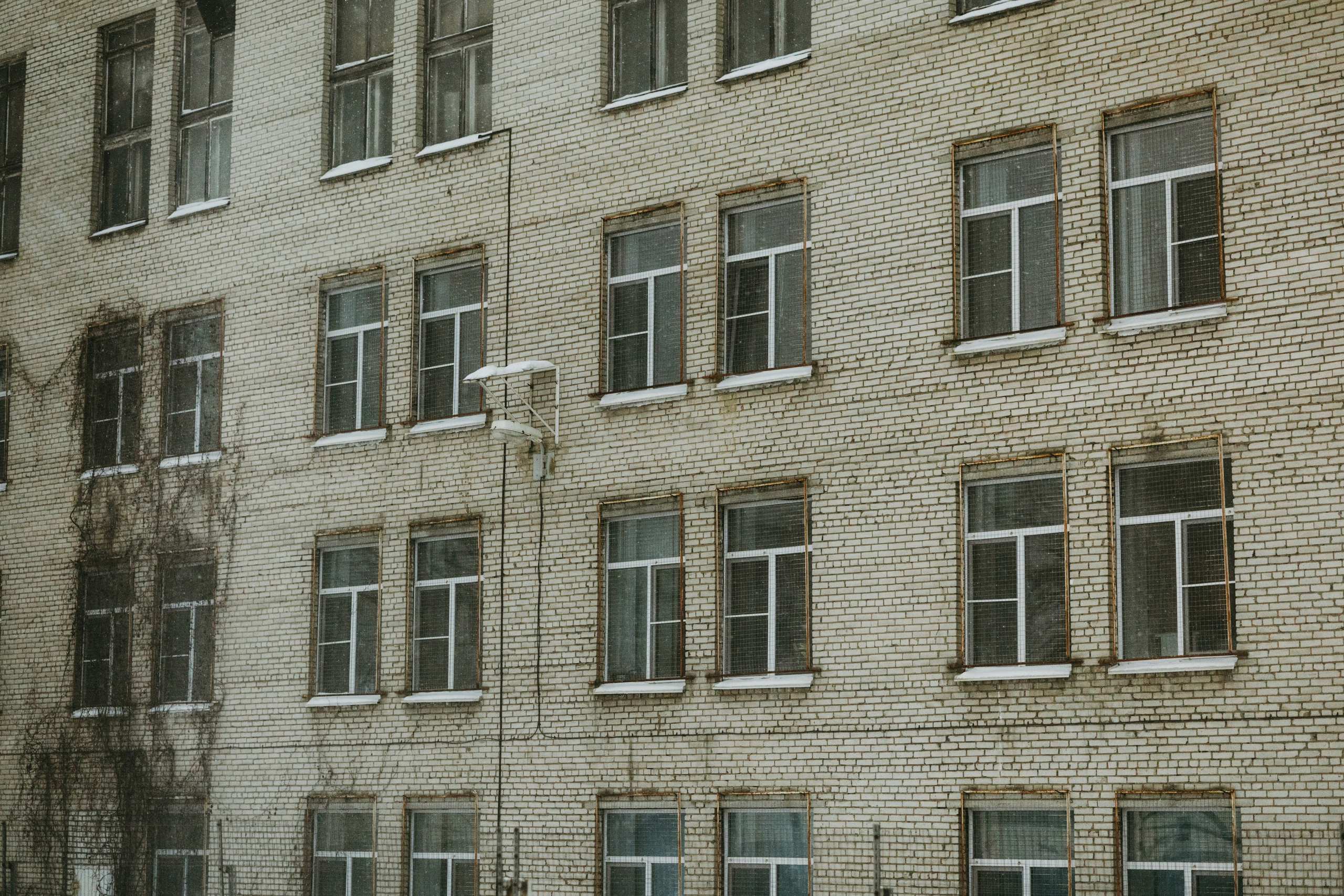 Виды из поезда. Фотограф Эльмира Лин