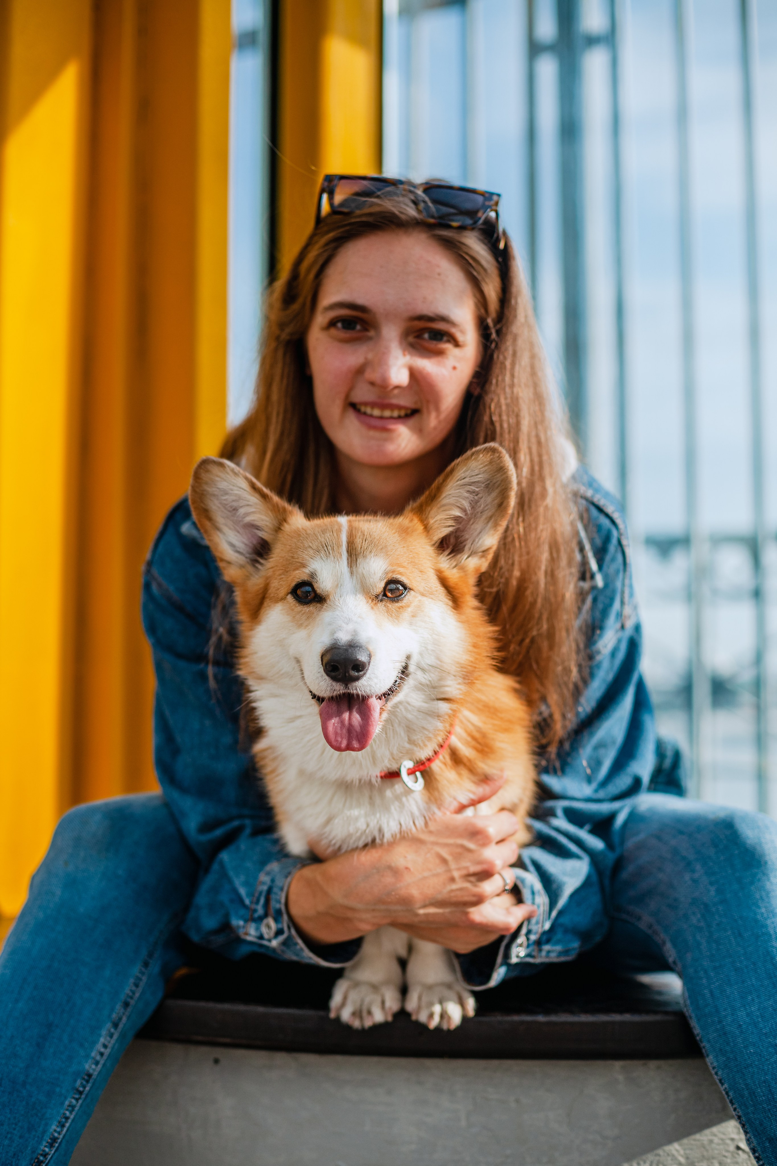 Андреевский мост. Фотограф-анималист Татьяна Степанова