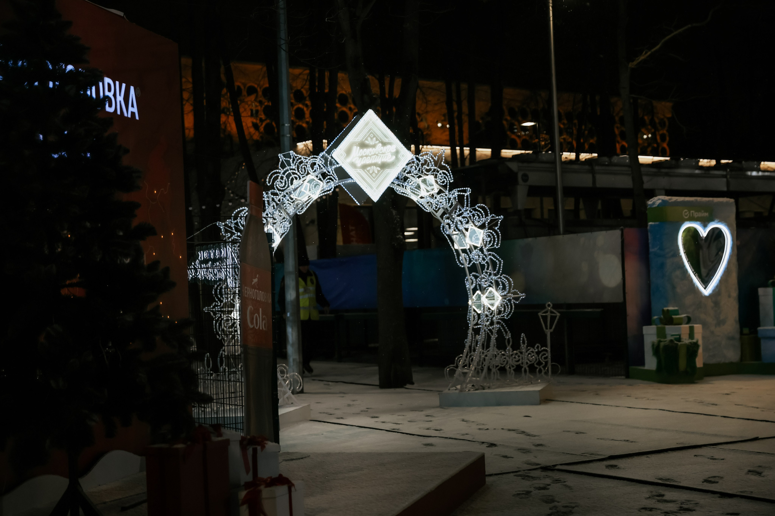 Ледовое Шоу Лужники. Фотограф и видеограф Анна Домашенко